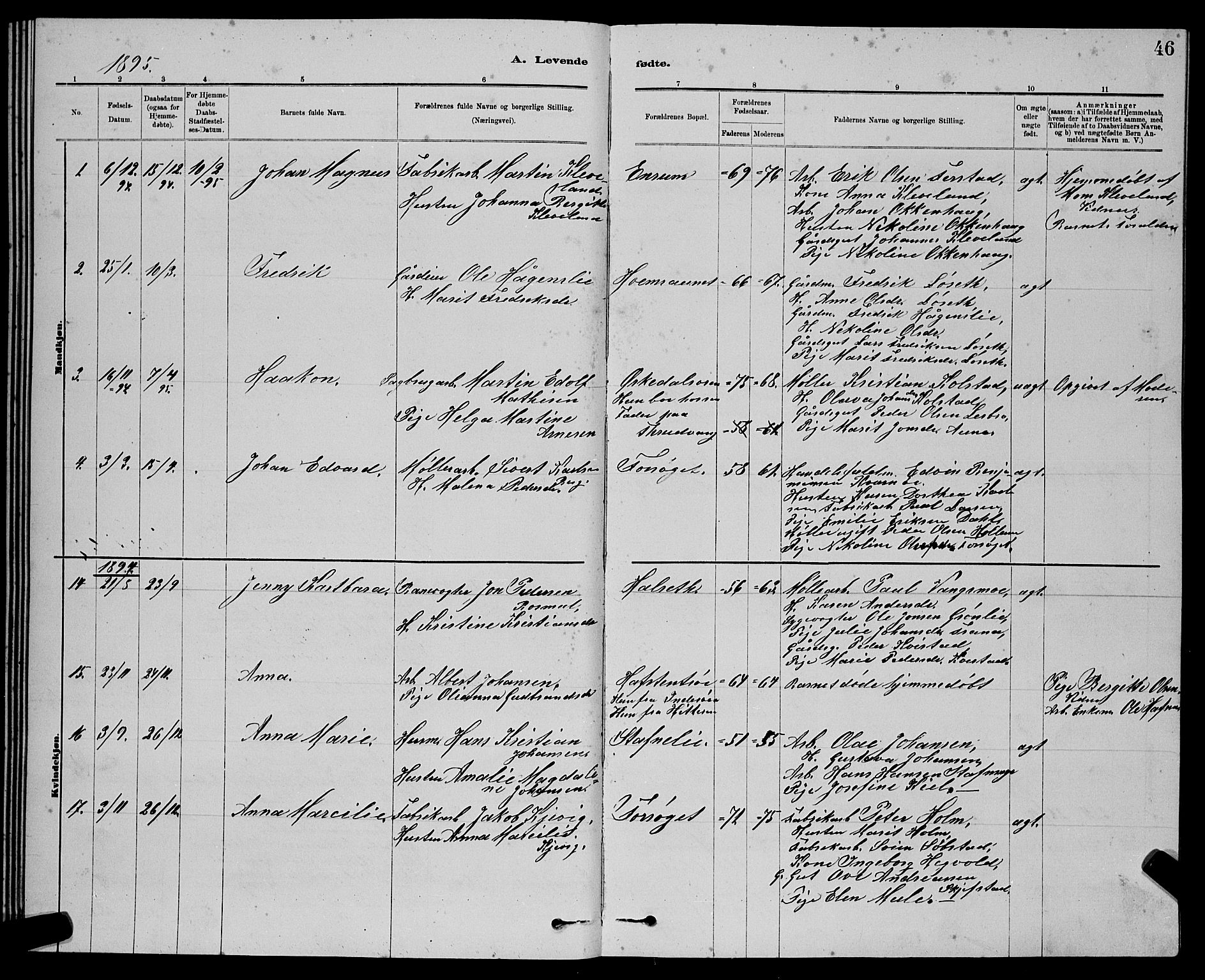 Ministerialprotokoller, klokkerbøker og fødselsregistre - Sør-Trøndelag, SAT/A-1456/611/L0354: Parish register (copy) no. 611C02, 1881-1896, p. 46