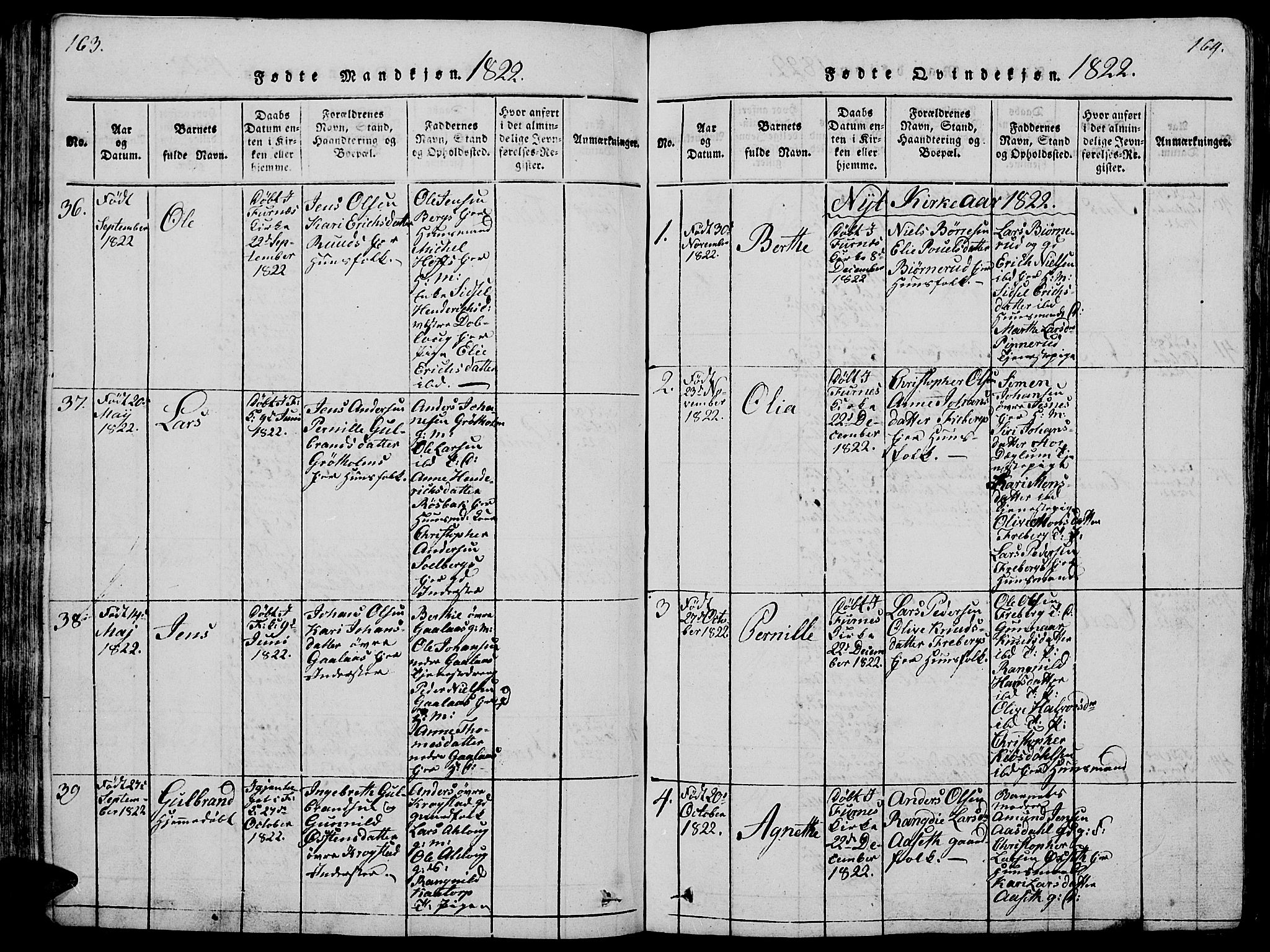 Vang prestekontor, Hedmark, AV/SAH-PREST-008/H/Ha/Hab/L0005: Parish register (copy) no. 5, 1815-1836, p. 163-164