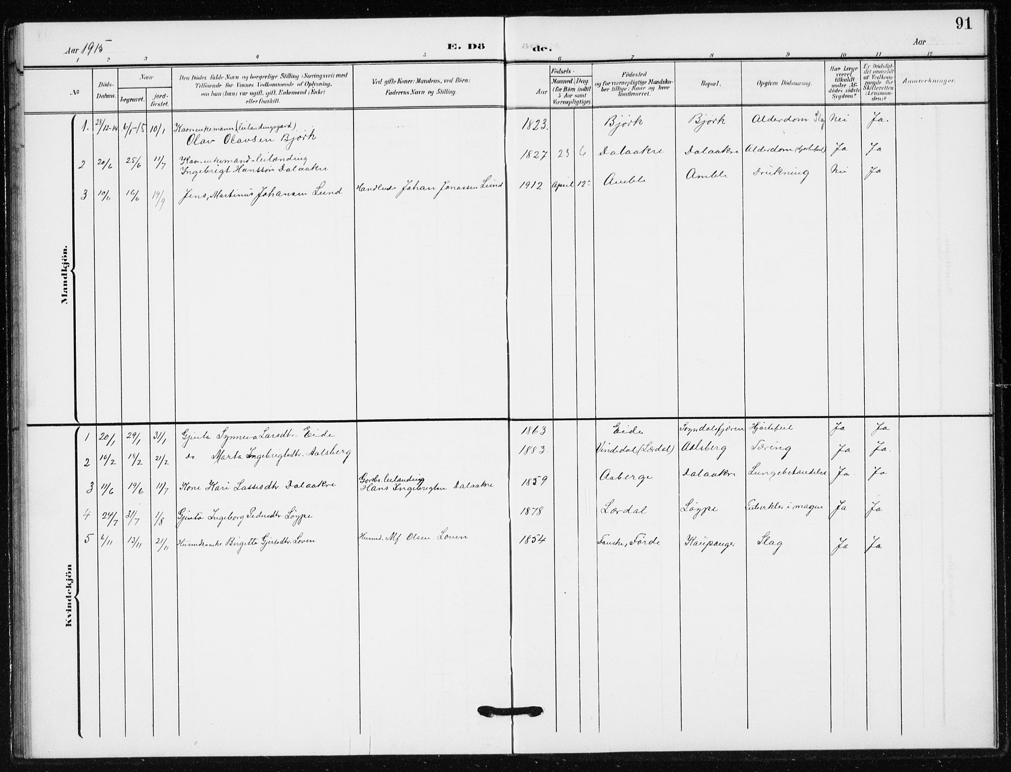 Sogndal sokneprestembete, SAB/A-81301/H/Hab/Habb/L0002: Parish register (copy) no. B 2, 1908-1933, p. 91