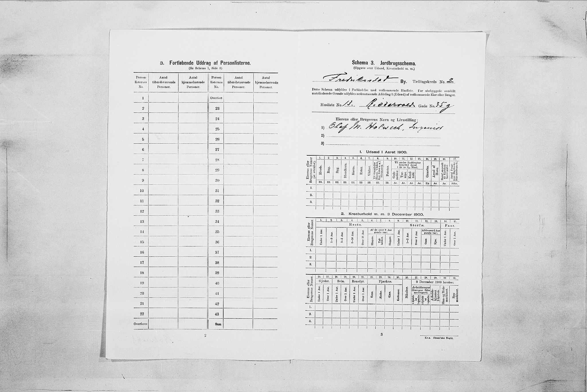 SAO, 1900 census for Fredrikstad, 1900