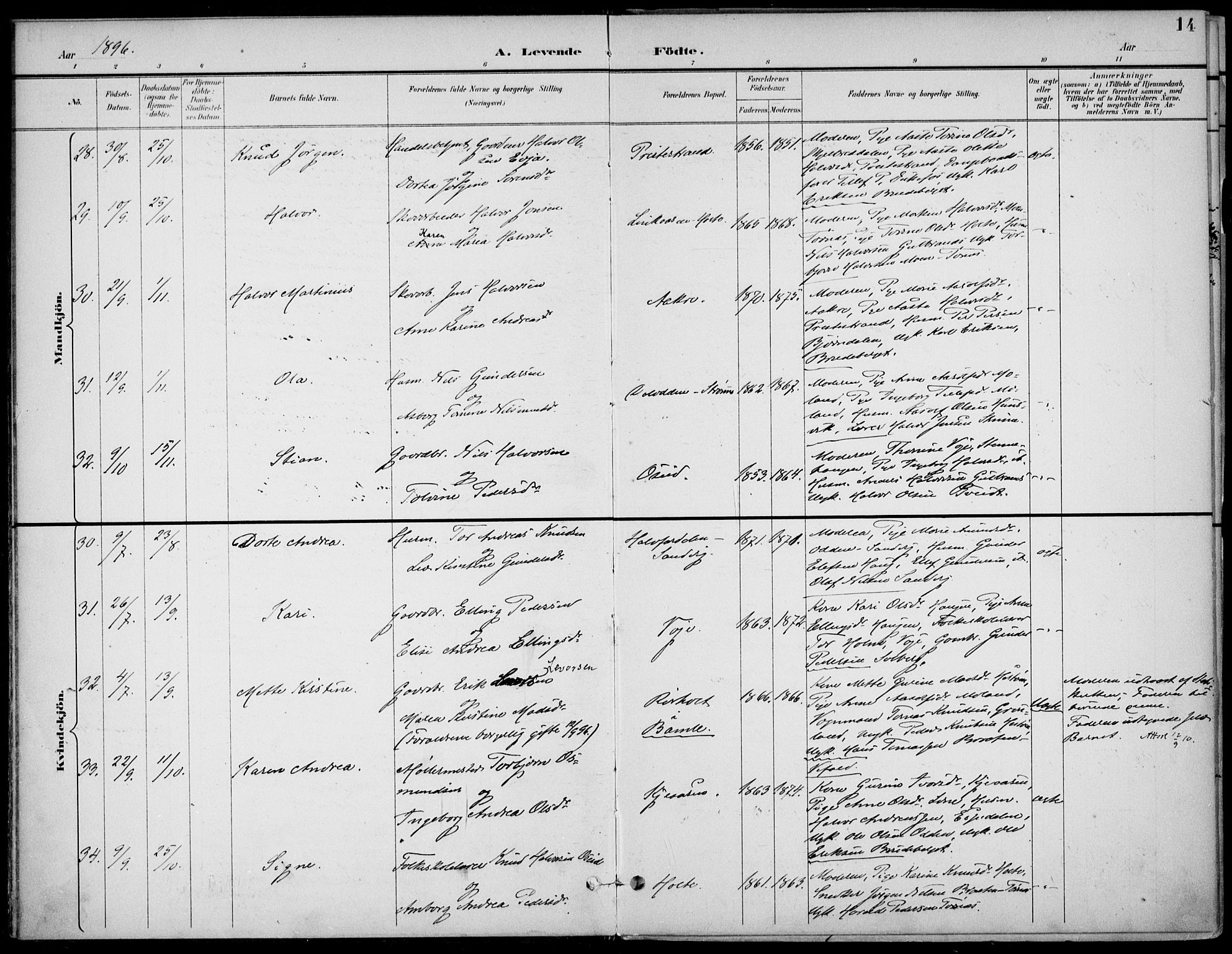 Drangedal kirkebøker, AV/SAKO-A-258/F/Fa/L0012: Parish register (official) no. 12, 1895-1905, p. 14