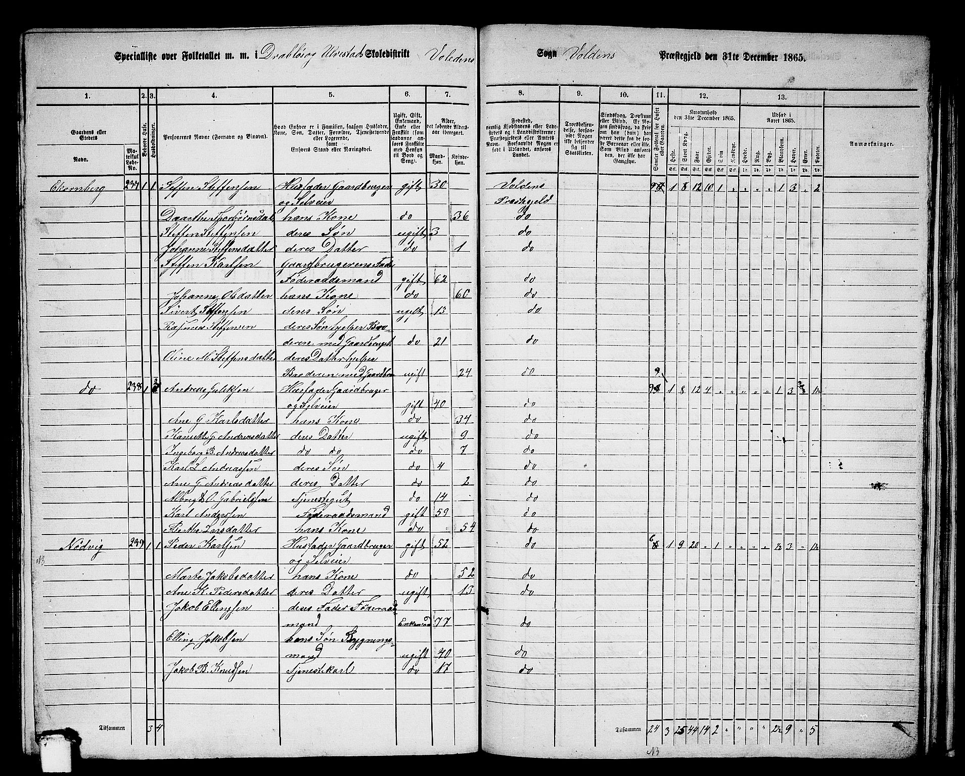 RA, 1865 census for Volda, 1865, p. 144