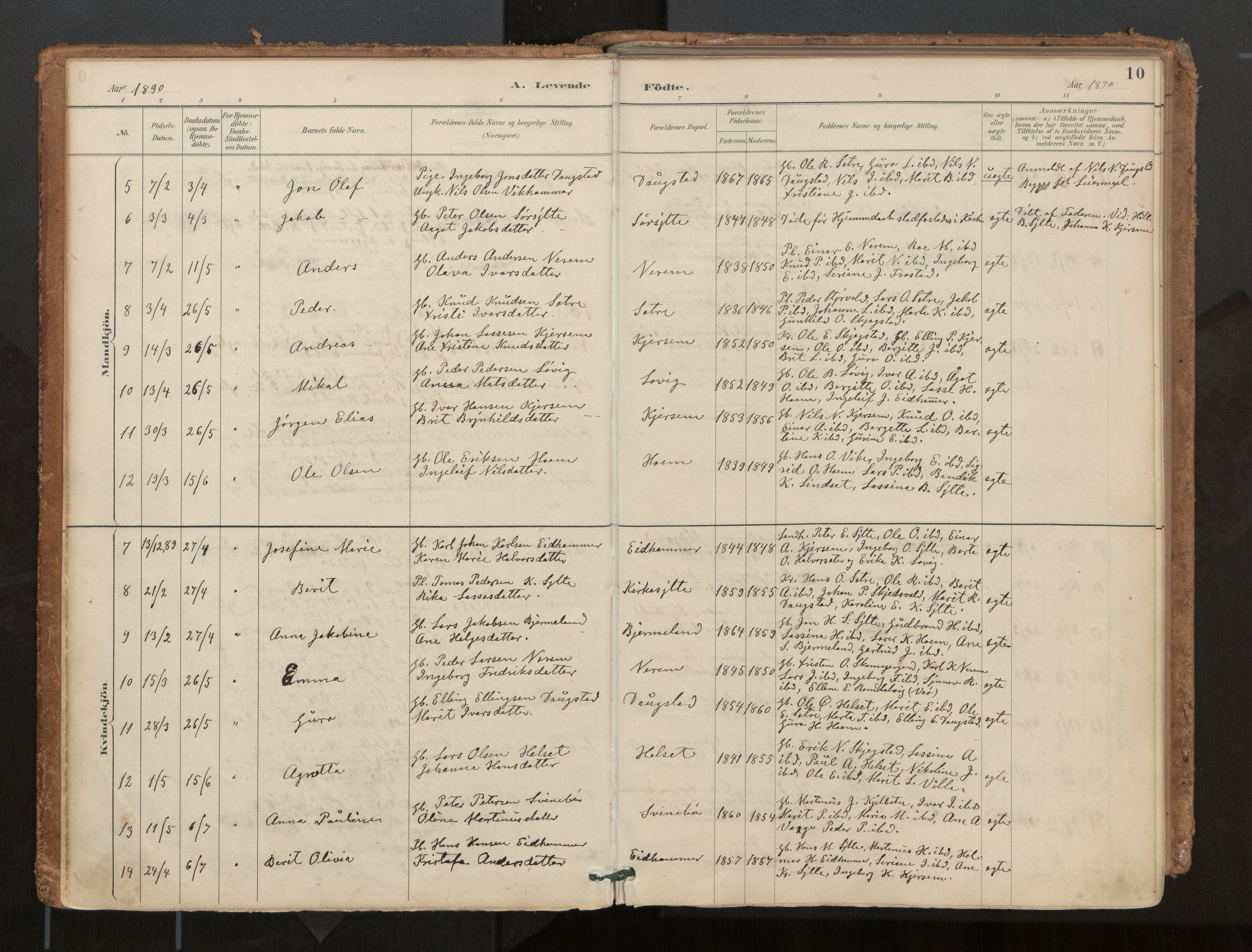 Ministerialprotokoller, klokkerbøker og fødselsregistre - Møre og Romsdal, AV/SAT-A-1454/541/L0545a: Parish register (official) no. 541A03, 1887-1912, p. 10