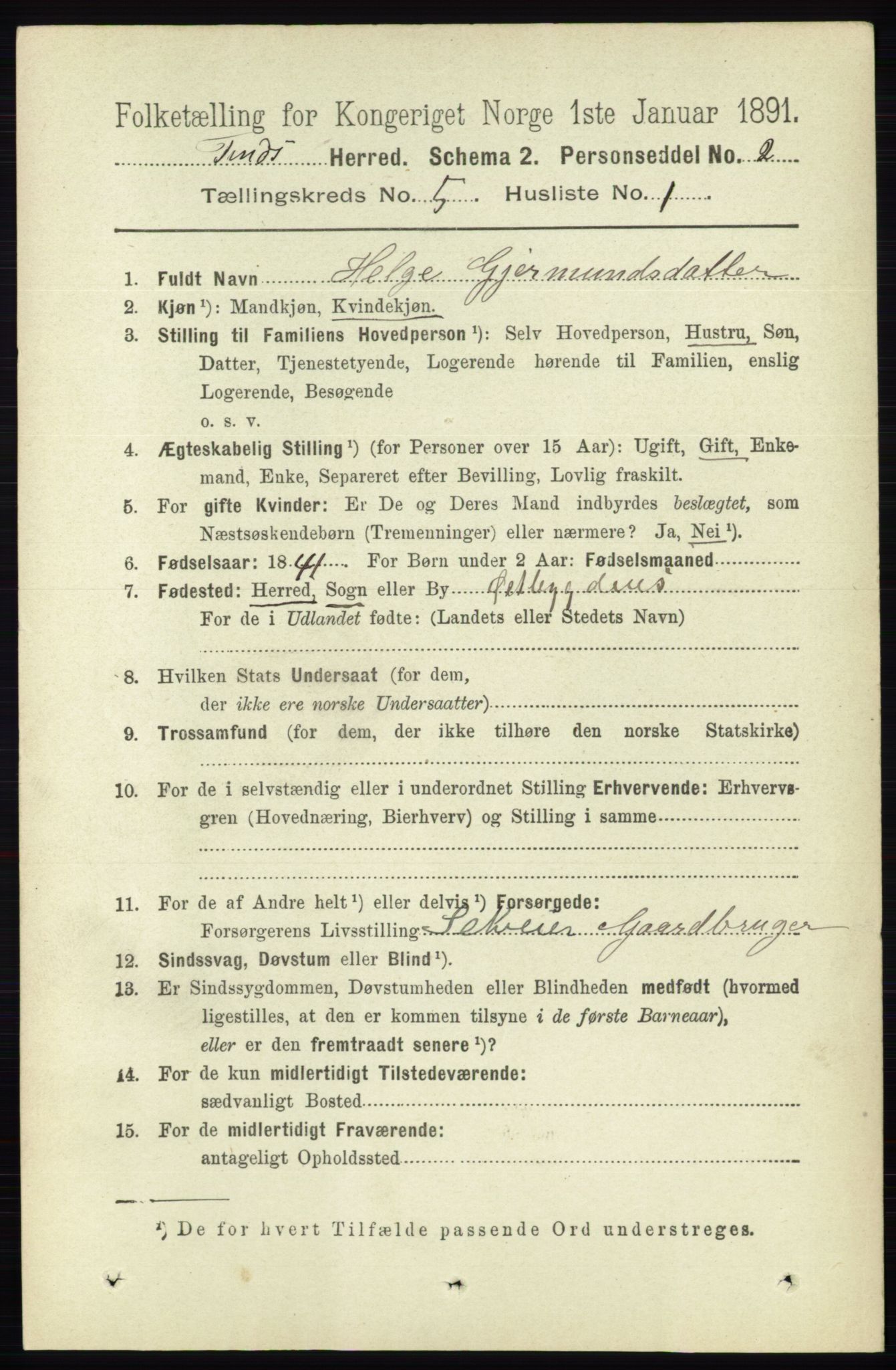 RA, 1891 census for 0826 Tinn, 1891, p. 1003