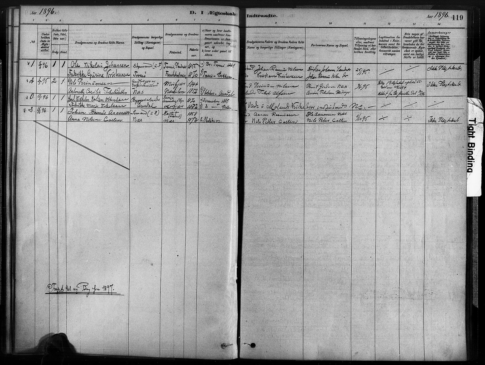 Austre Moland sokneprestkontor, SAK/1111-0001/F/Fa/Fab/L0001: Parish register (official) no. A 1, 1878-1898, p. 119