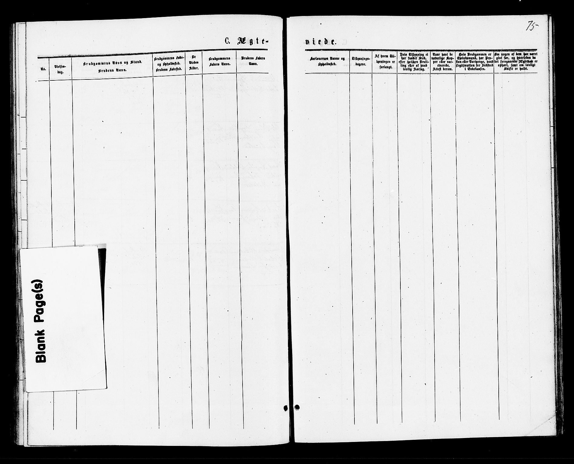 Røyken kirkebøker, AV/SAKO-A-241/F/Fa/L0007: Parish register (official) no. 7, 1876-1879, p. 75