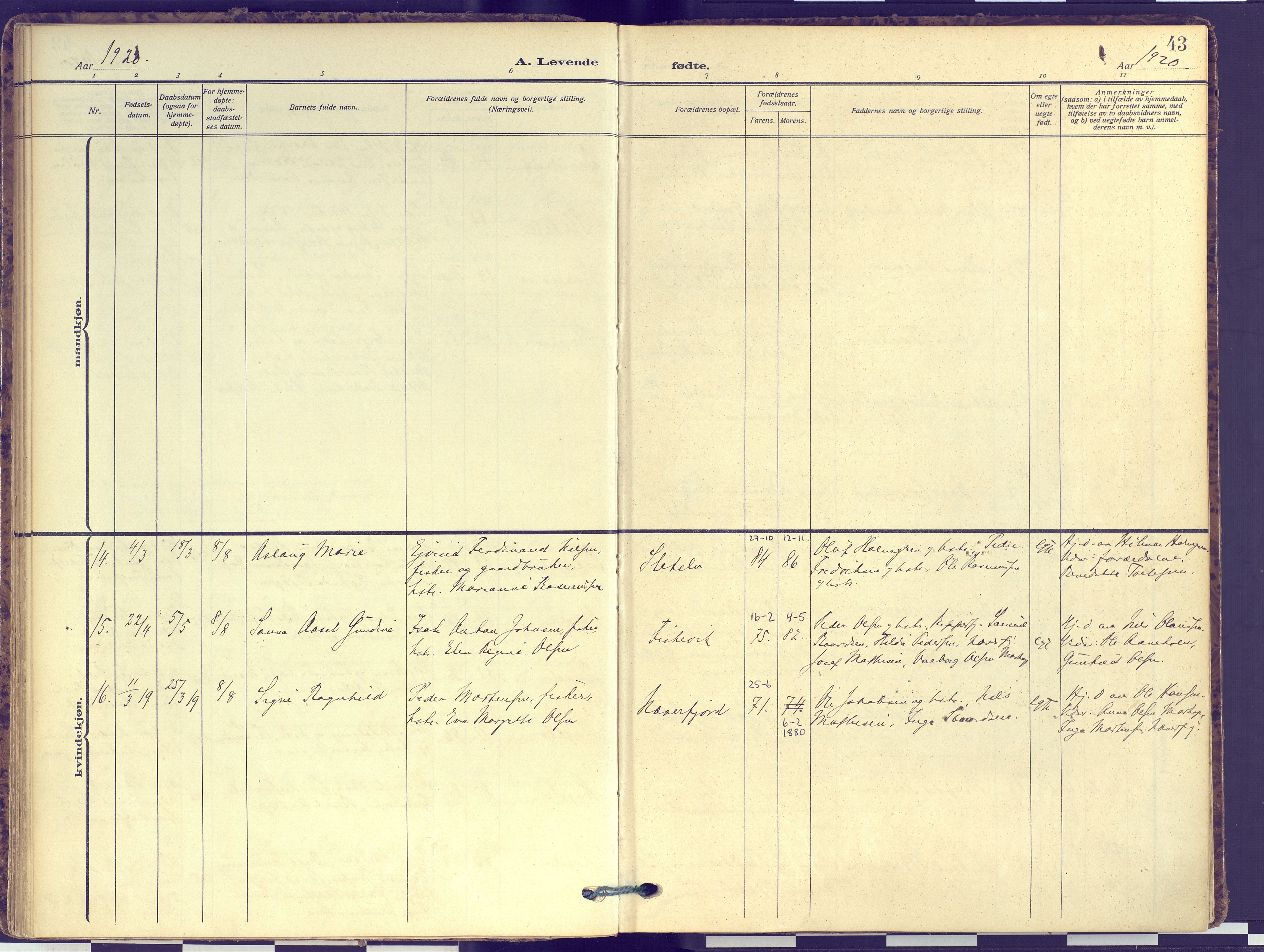 Hammerfest sokneprestkontor, SATØ/S-1347: Parish register (official) no. 16, 1908-1923, p. 43