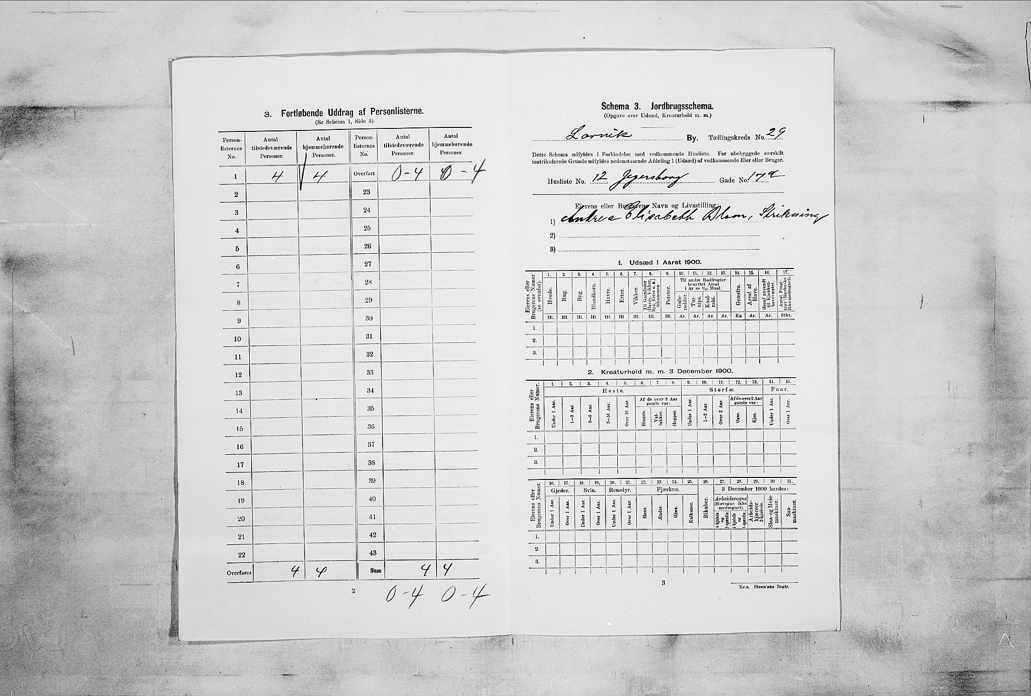 RA, 1900 census for Larvik, 1900, p. 3169