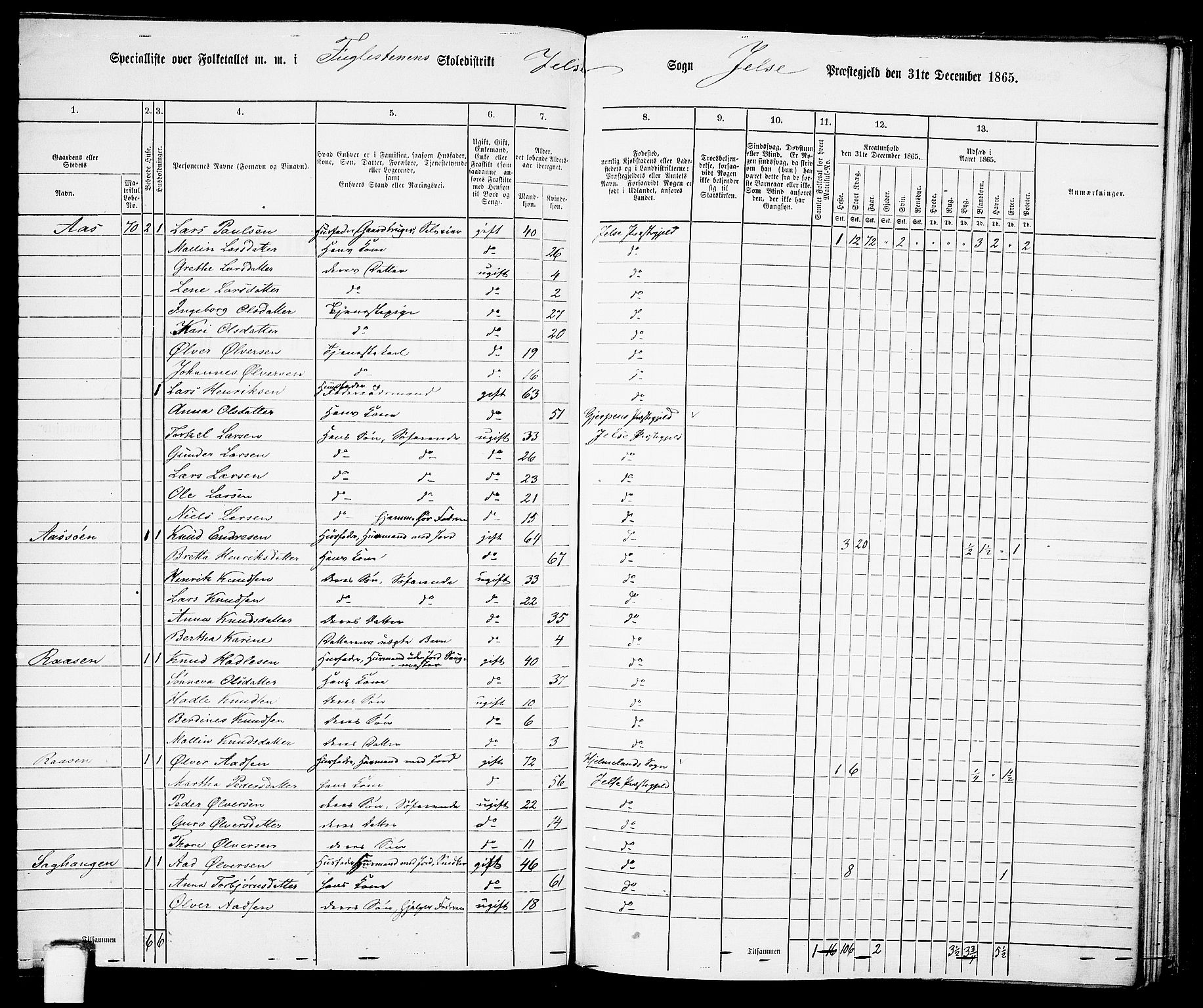 RA, 1865 census for Jelsa, 1865, p. 84