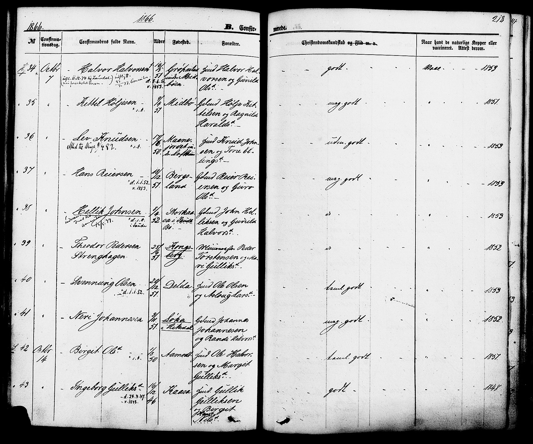 Hjartdal kirkebøker, AV/SAKO-A-270/F/Fa/L0009: Parish register (official) no. I 9, 1860-1879, p. 212