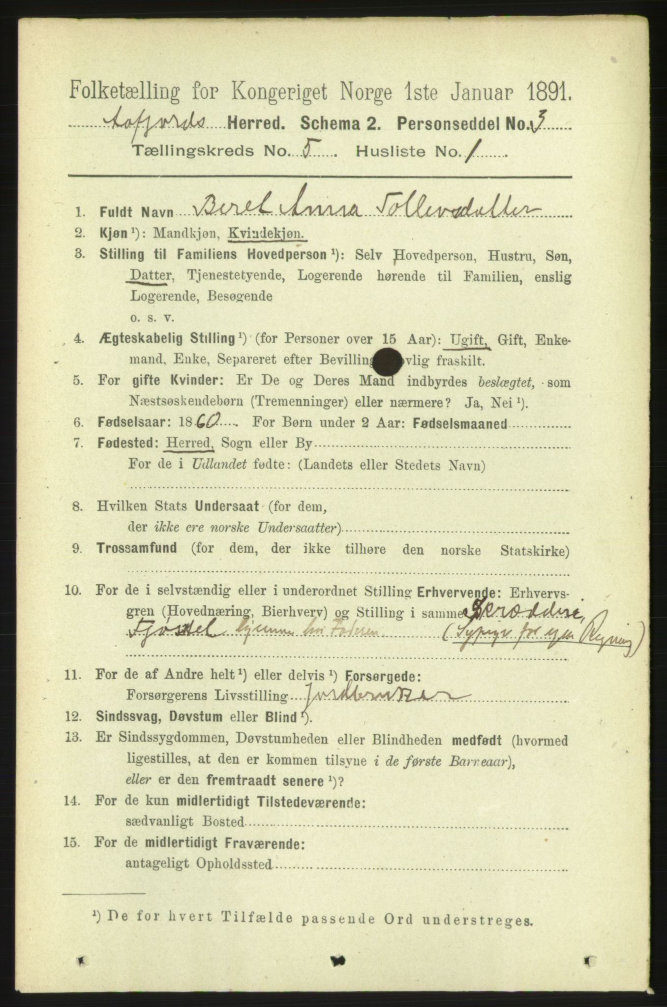 RA, 1891 census for 1630 Åfjord, 1891, p. 1193