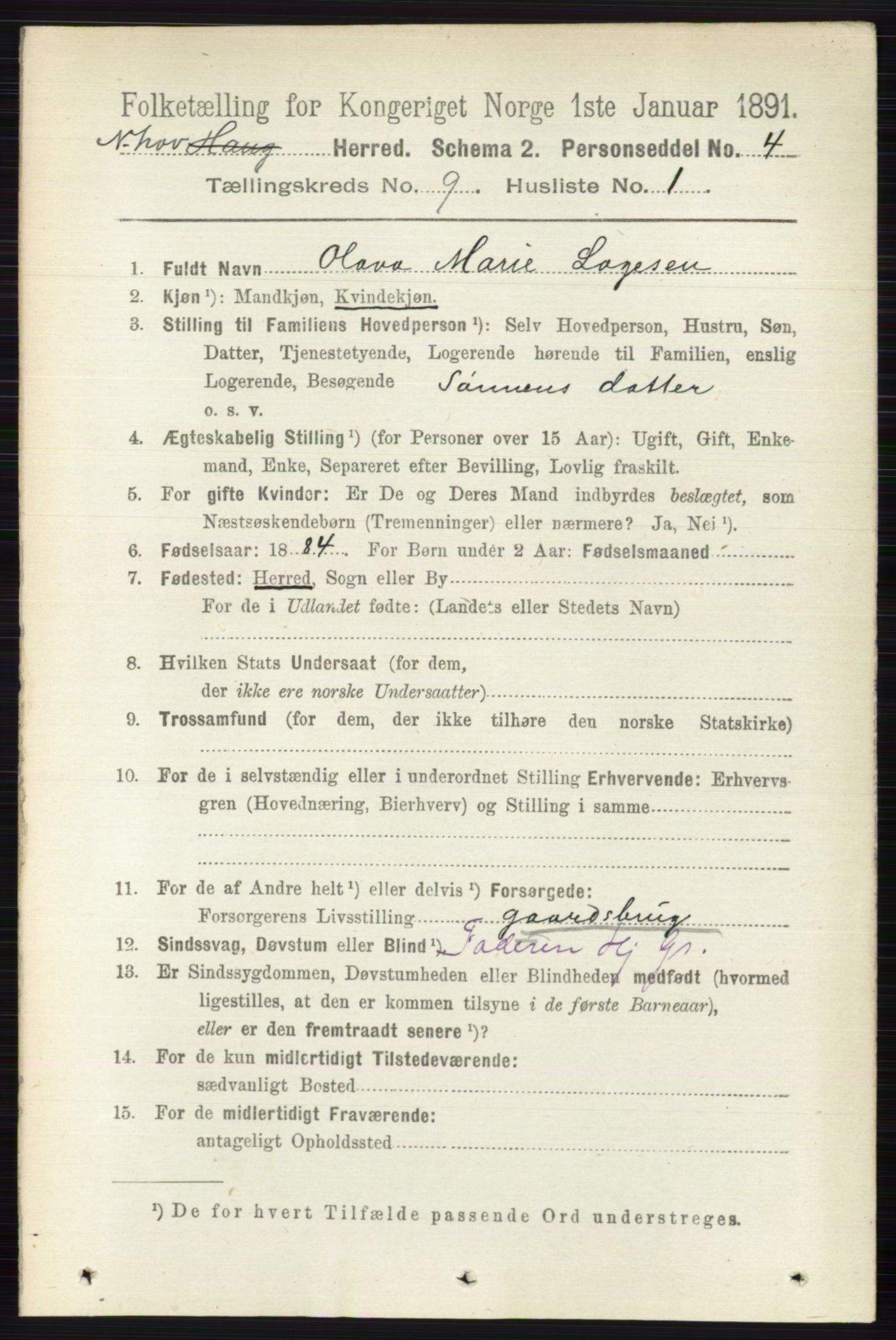 RA, 1891 census for 0613 Norderhov, 1891, p. 6601