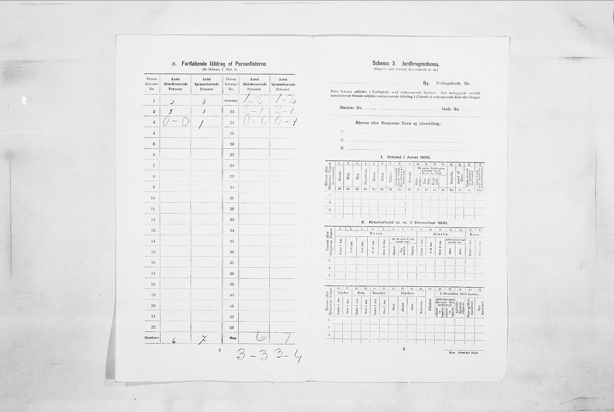 SAO, 1900 census for Sarpsborg, 1900