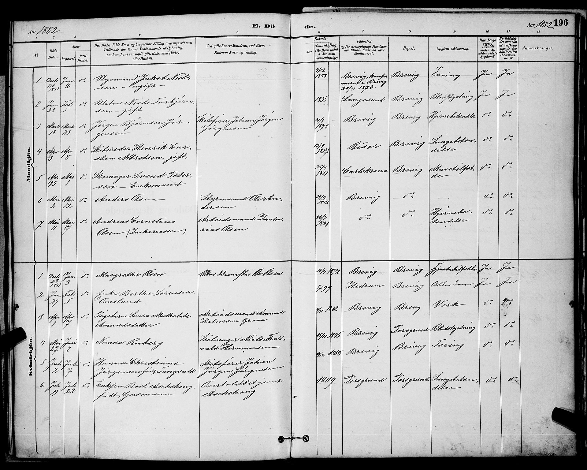 Brevik kirkebøker, SAKO/A-255/G/Ga/L0004: Parish register (copy) no. 4, 1882-1900, p. 196