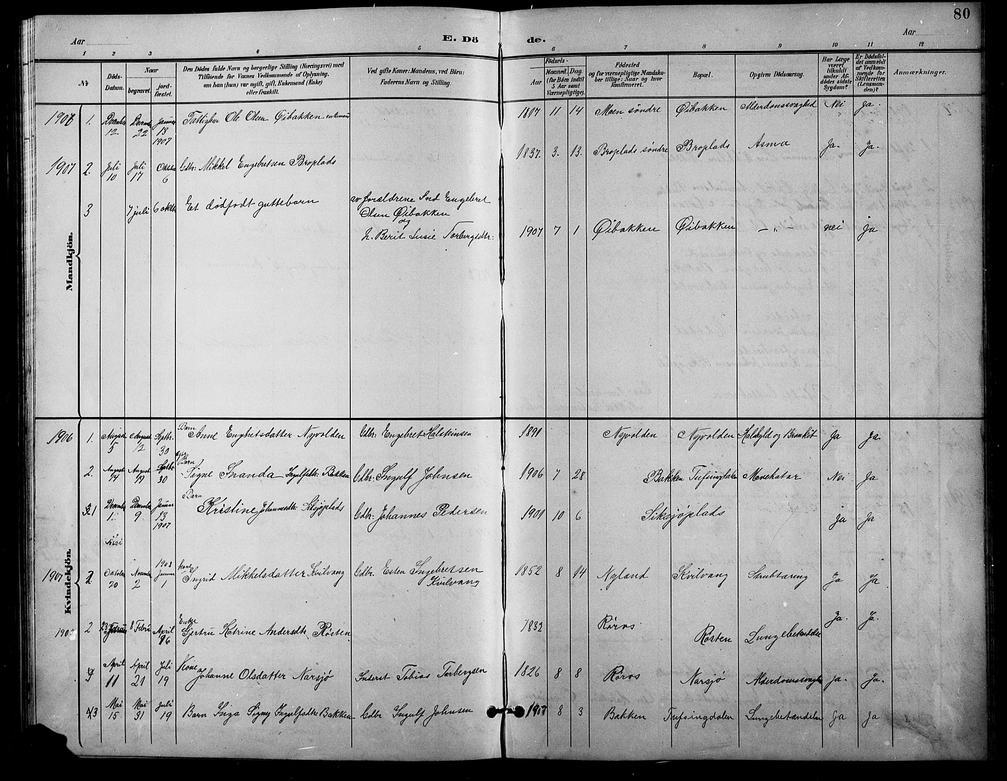 Tolga prestekontor, AV/SAH-PREST-062/L/L0011: Parish register (copy) no. 11, 1894-1925, p. 80