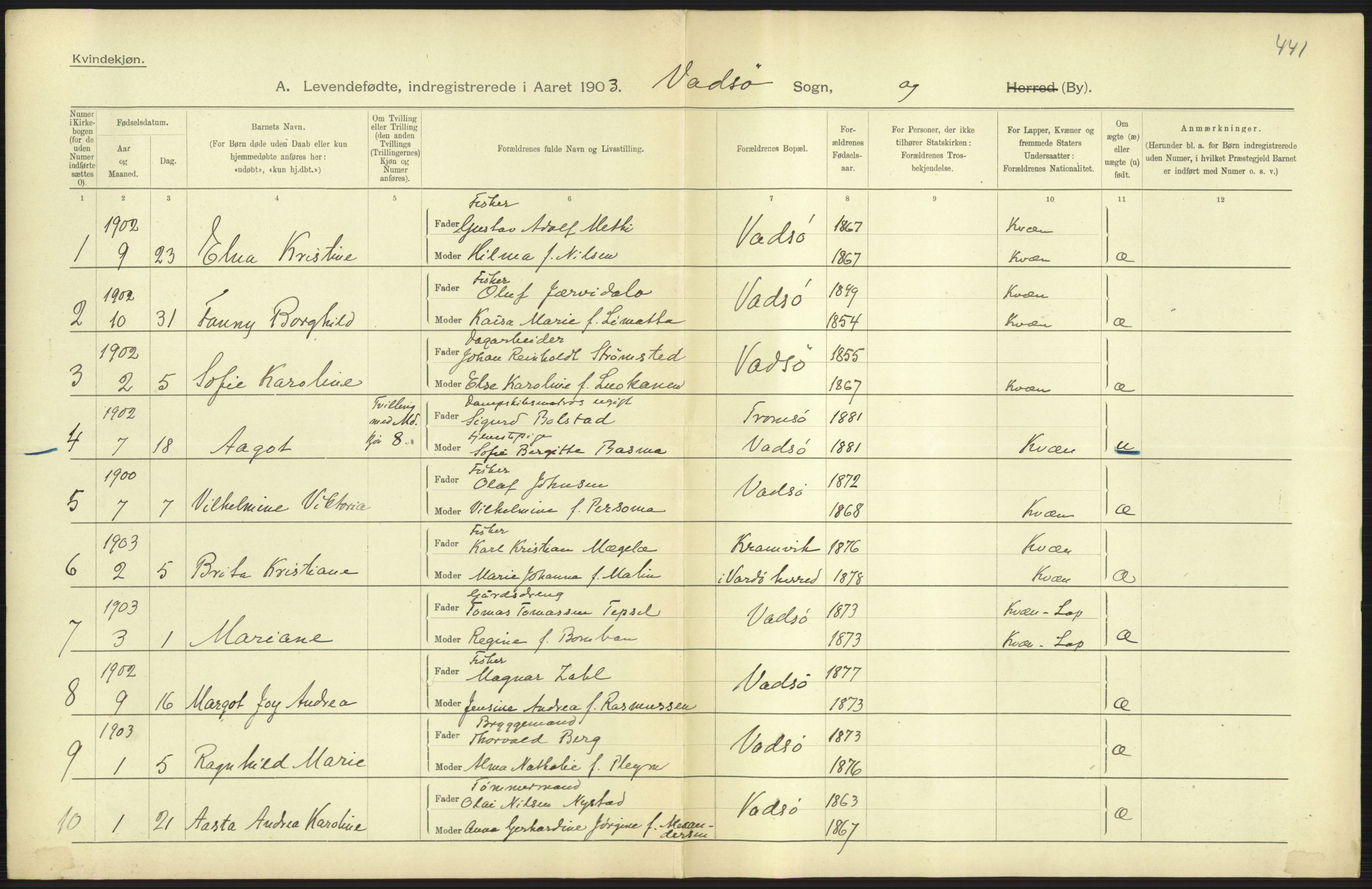 Statistisk sentralbyrå, Sosiodemografiske emner, Befolkning, AV/RA-S-2228/D/Df/Dfa/Dfaa/L0022: Finnmarkens amt: Fødte, gifte, døde., 1903, p. 131