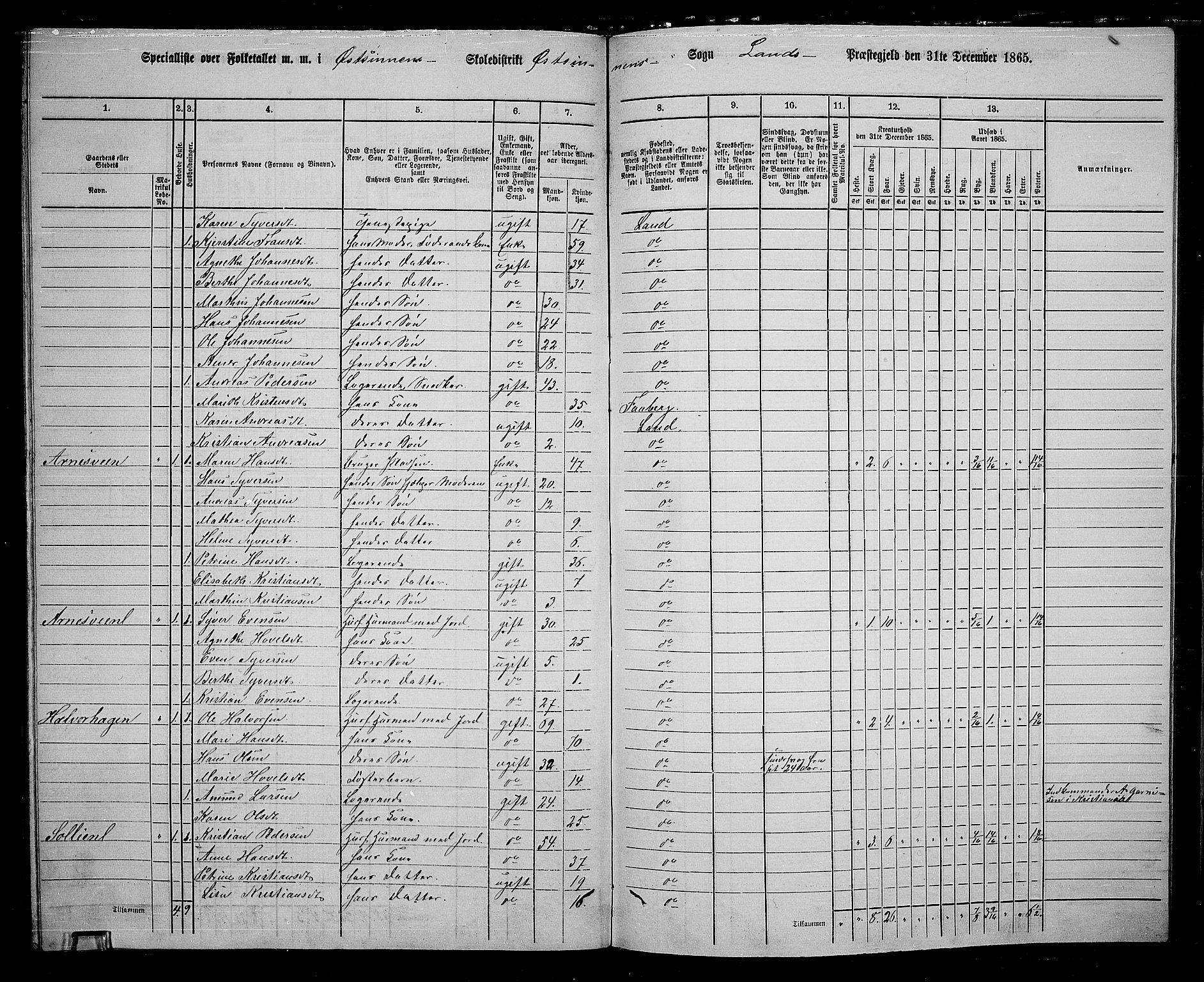RA, 1865 census for Land, 1865, p. 184