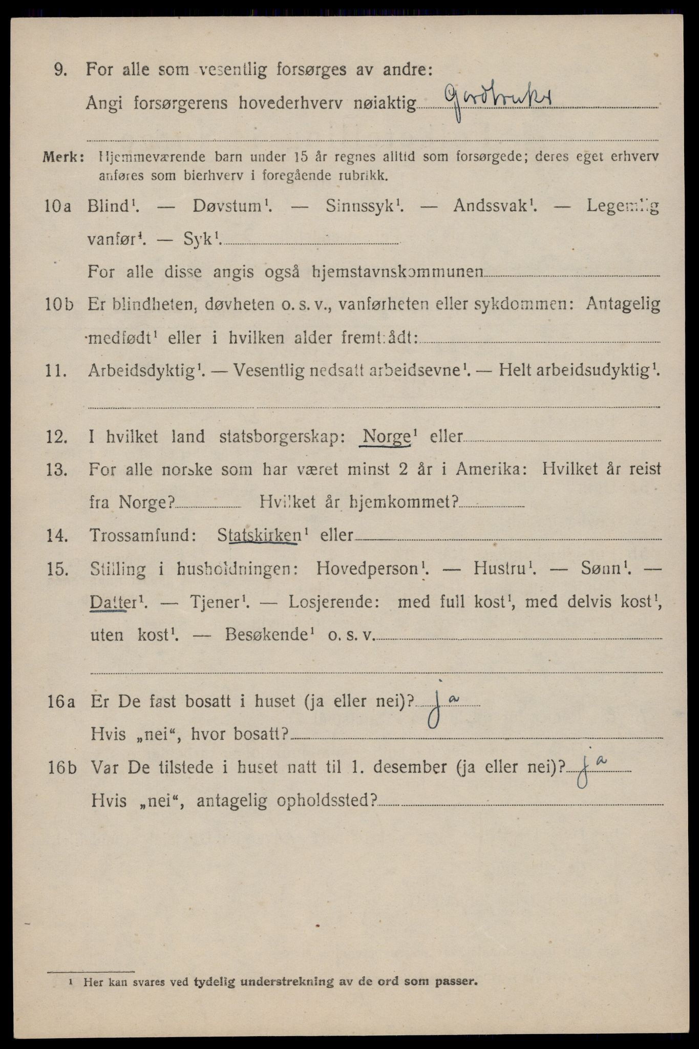 SAST, 1920 census for Strand, 1920, p. 2313