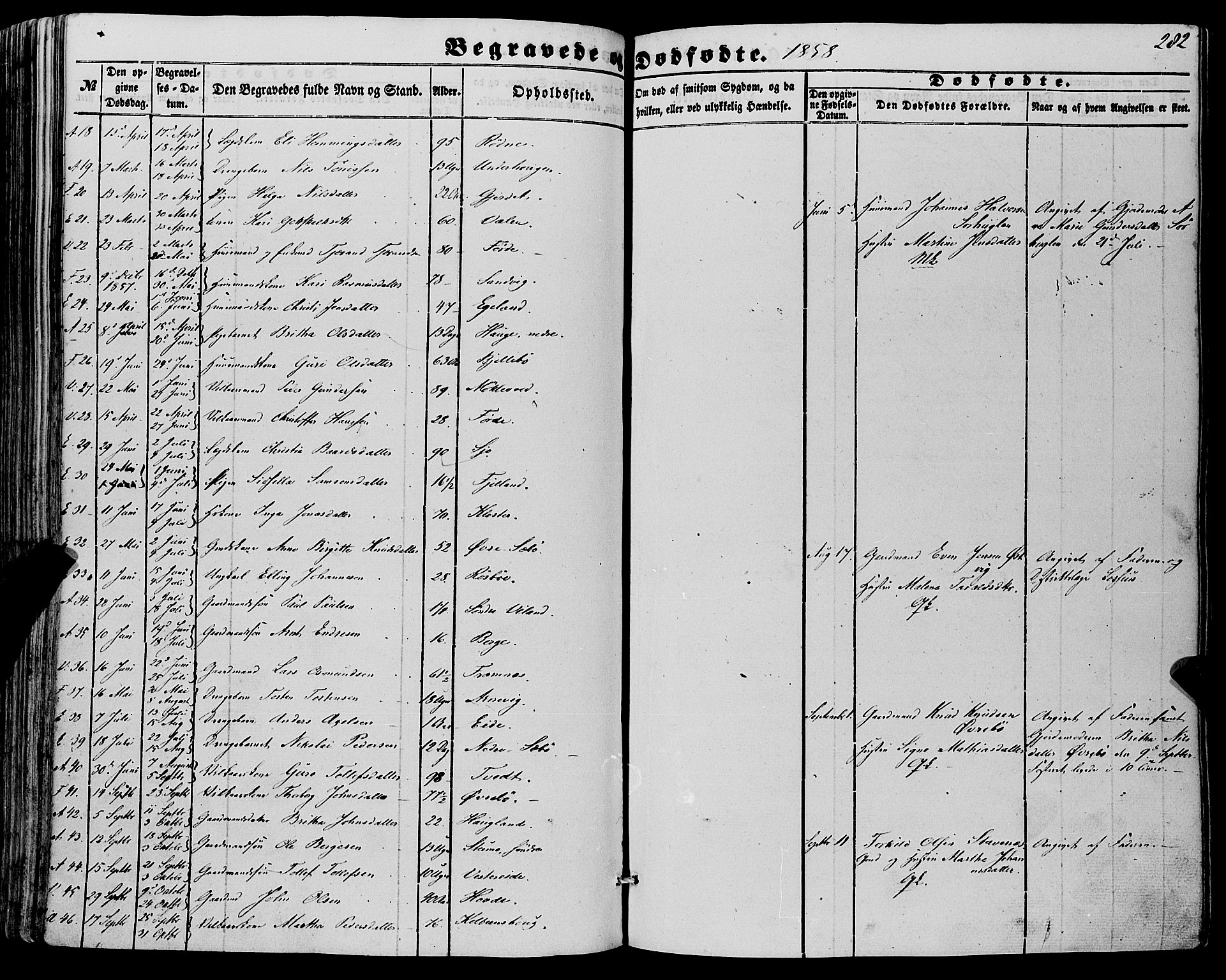 Fjelberg sokneprestembete, SAB/A-75201/H/Haa: Parish register (official) no. A 7, 1851-1867, p. 282