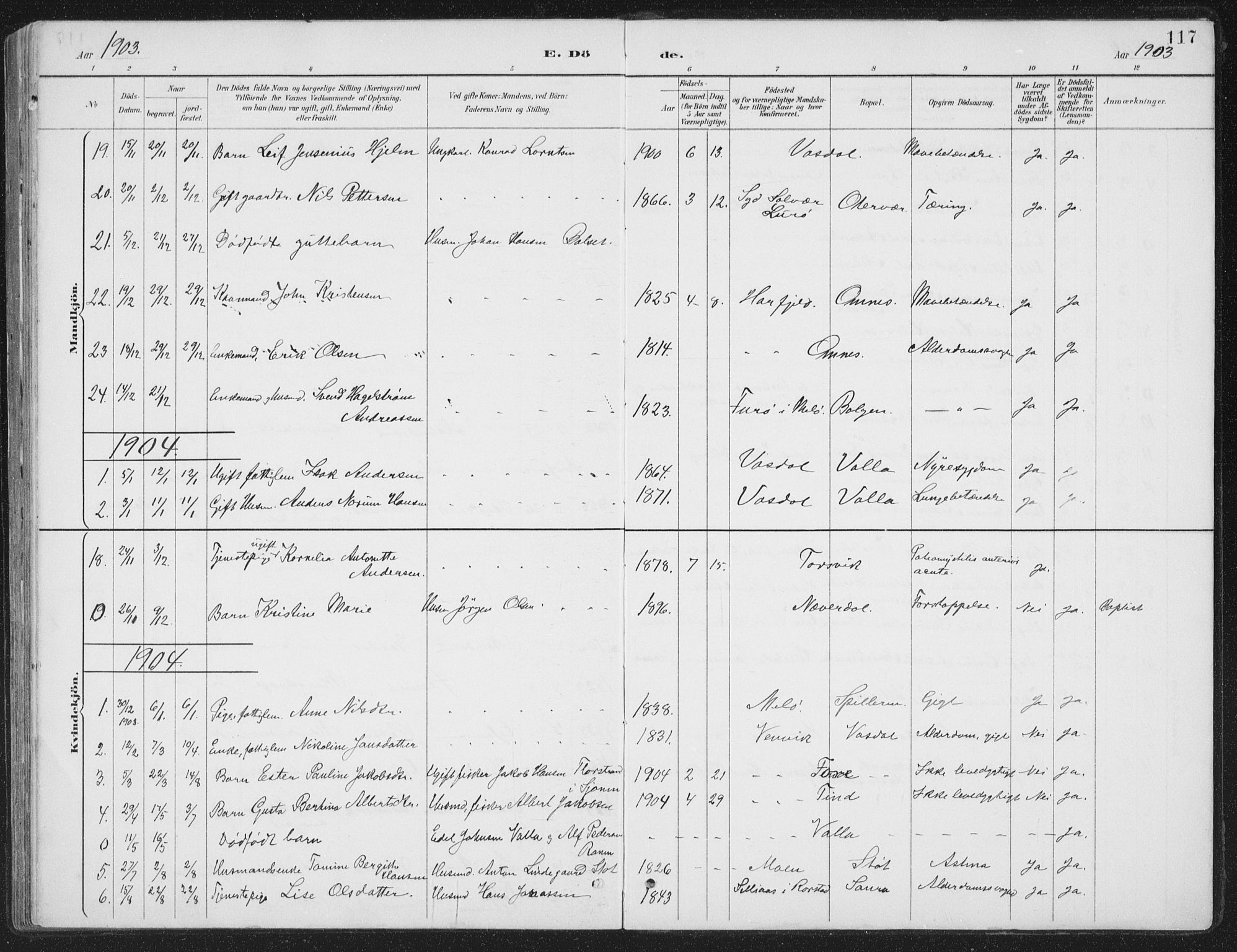 Ministerialprotokoller, klokkerbøker og fødselsregistre - Nordland, SAT/A-1459/843/L0638: Parish register (copy) no. 843C07, 1888-1907, p. 117