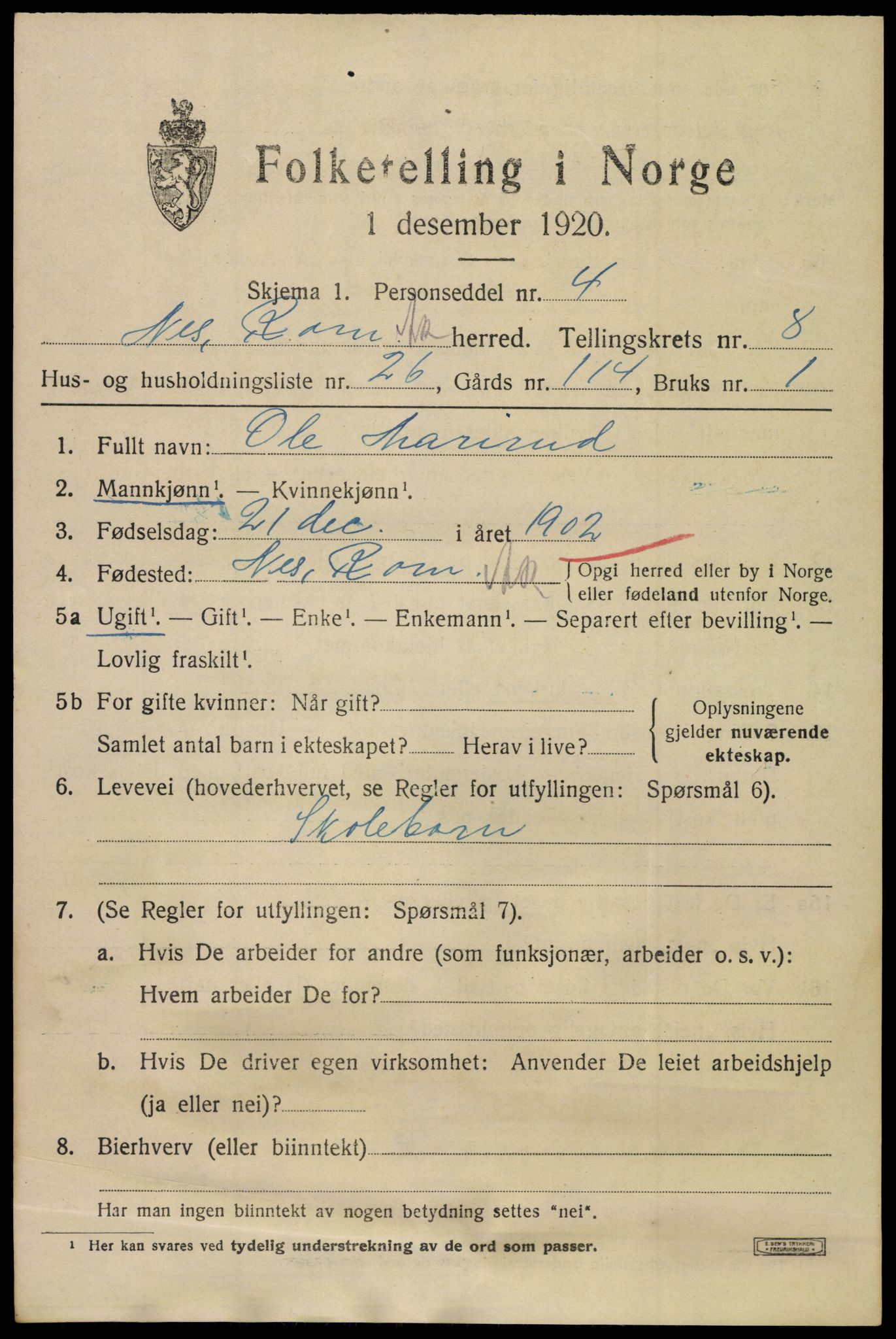 SAO, 1920 census for Nes, 1920, p. 9650