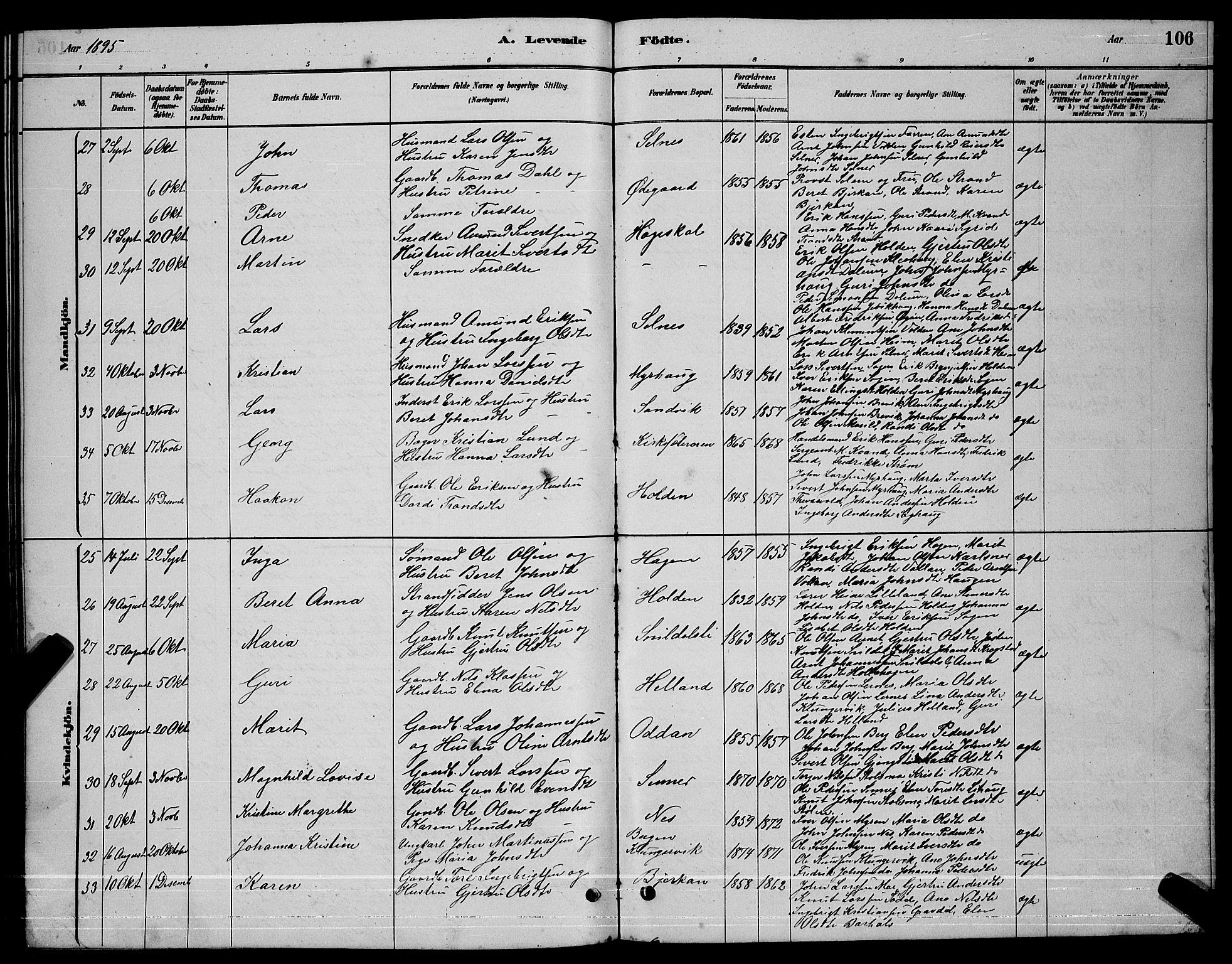 Ministerialprotokoller, klokkerbøker og fødselsregistre - Sør-Trøndelag, SAT/A-1456/630/L0504: Parish register (copy) no. 630C02, 1879-1898, p. 106
