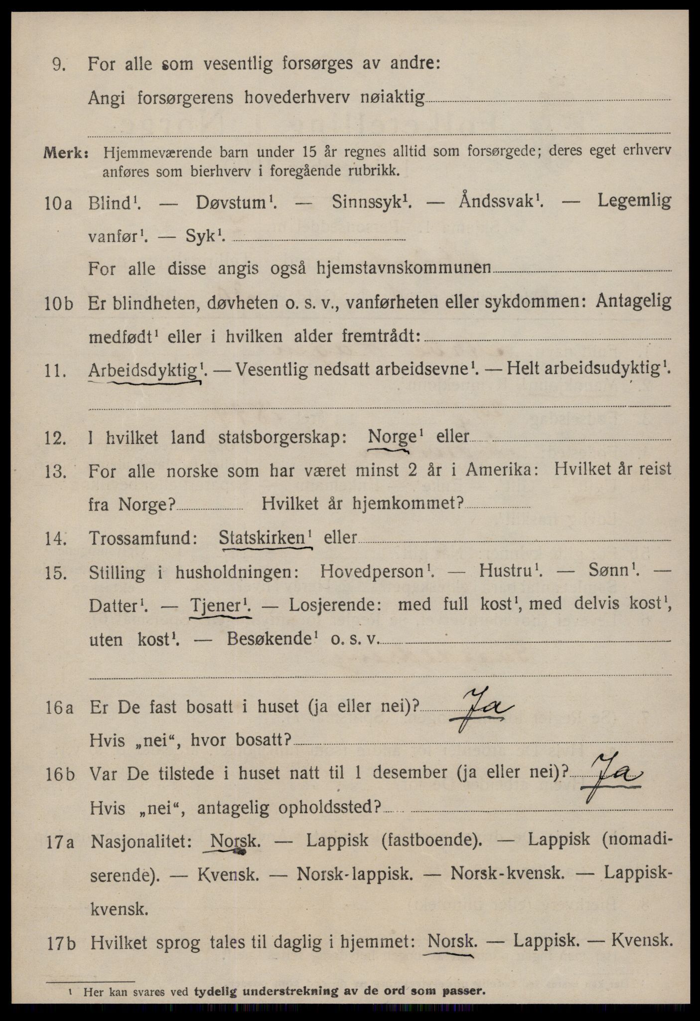 SAT, 1920 census for Strinda, 1920, p. 14157