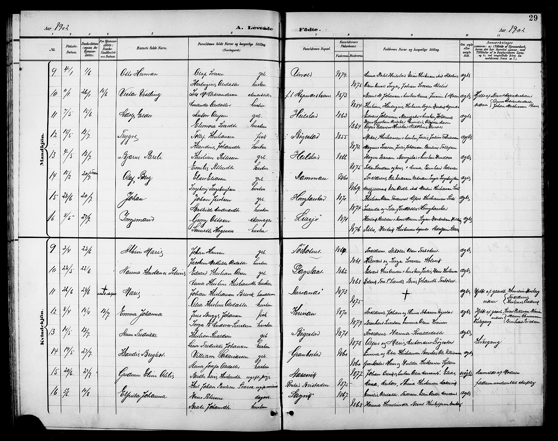 Ministerialprotokoller, klokkerbøker og fødselsregistre - Nordland, AV/SAT-A-1459/810/L0161: Parish register (copy) no. 810C04, 1897-1910, p. 29