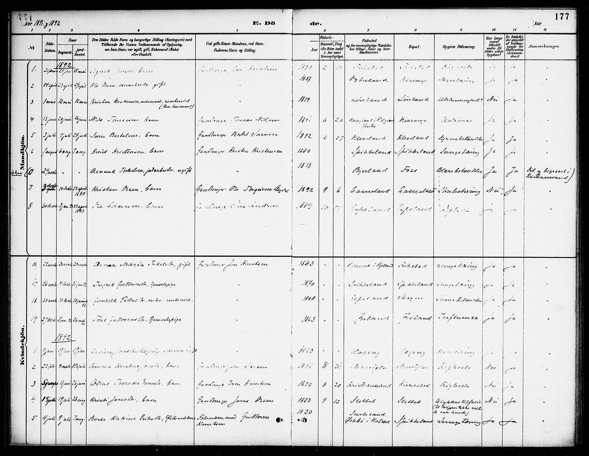 Bjelland sokneprestkontor, AV/SAK-1111-0005/F/Fa/Fab/L0004: Parish register (official) no. A 4, 1887-1920, p. 177