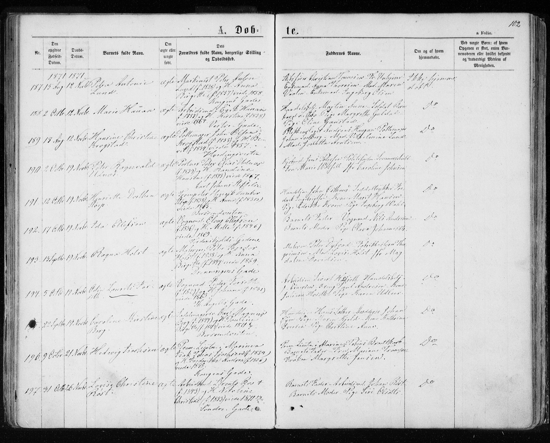 Ministerialprotokoller, klokkerbøker og fødselsregistre - Sør-Trøndelag, AV/SAT-A-1456/601/L0054: Parish register (official) no. 601A22, 1866-1877, p. 102