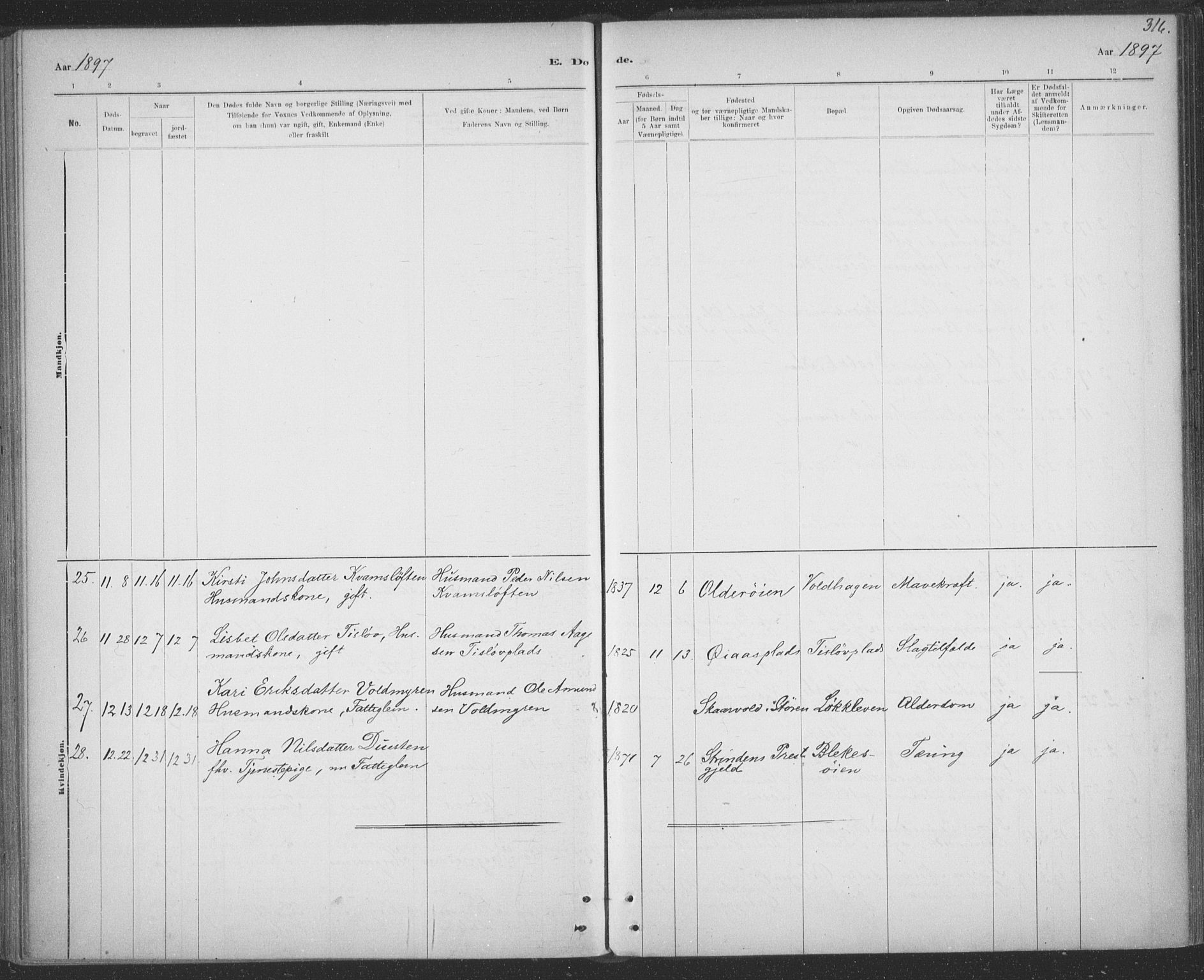 Ministerialprotokoller, klokkerbøker og fødselsregistre - Sør-Trøndelag, SAT/A-1456/691/L1085: Parish register (official) no. 691A17, 1887-1908, p. 316