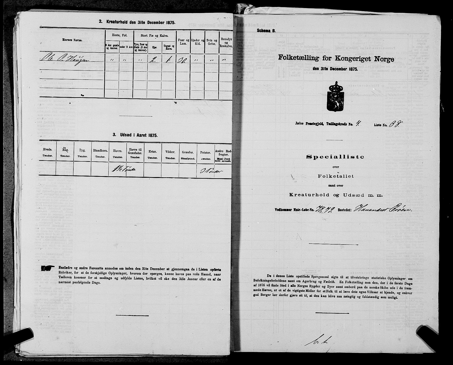 SAST, 1875 census for 1138P Jelsa, 1875, p. 399