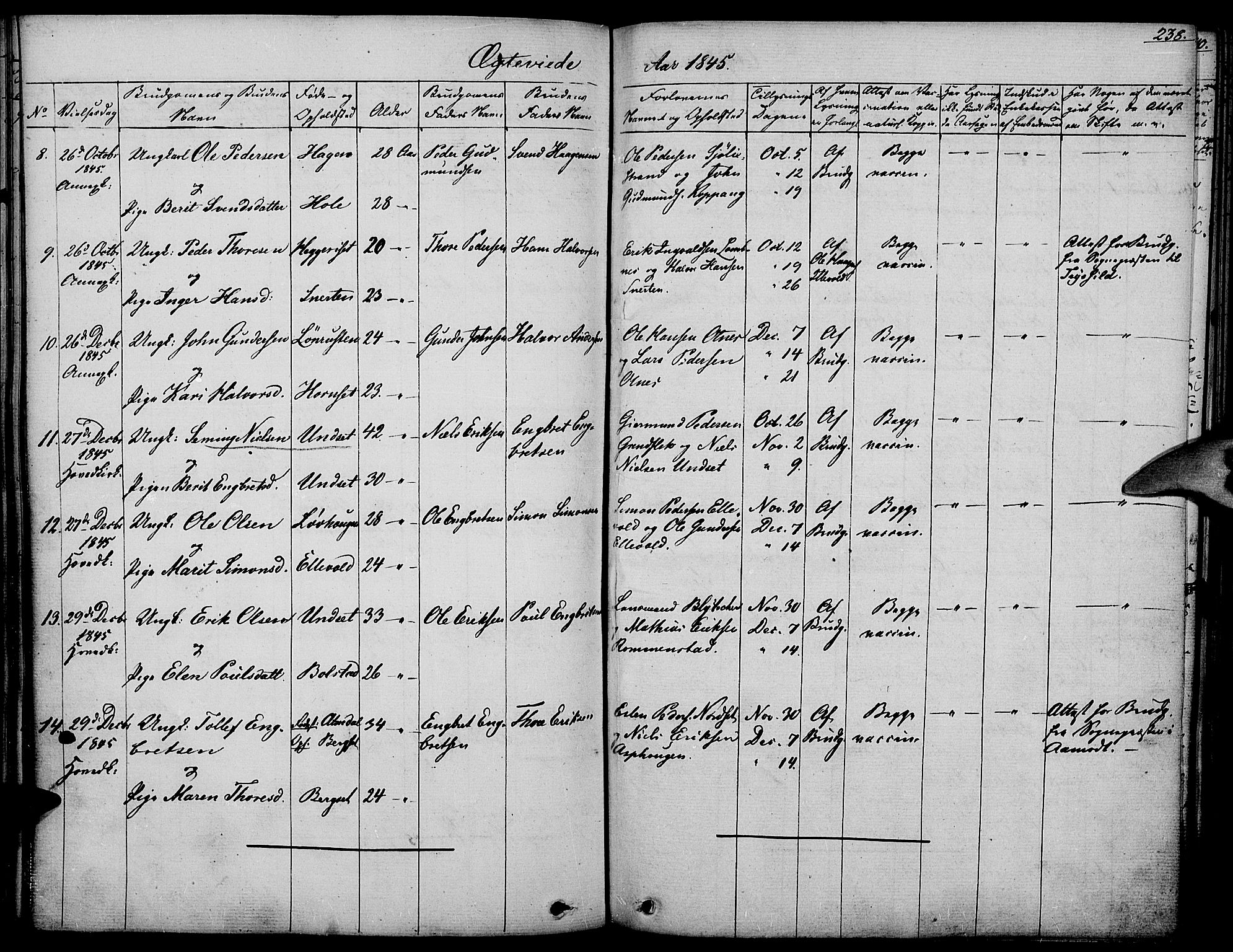 Rendalen prestekontor, SAH/PREST-054/H/Ha/Haa/L0004: Parish register (official) no. 4, 1829-1852, p. 238