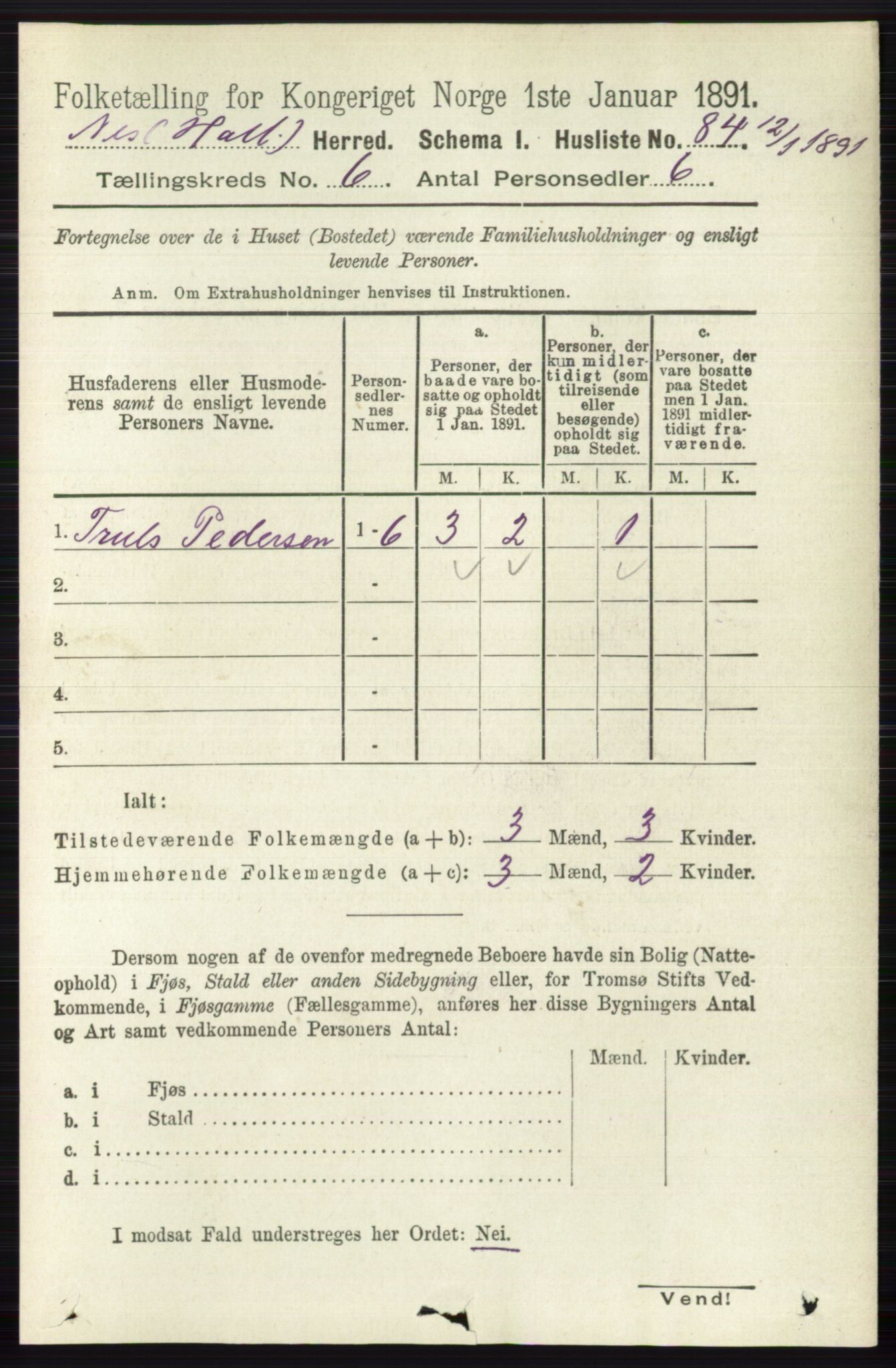 RA, 1891 census for 0616 Nes, 1891, p. 3040