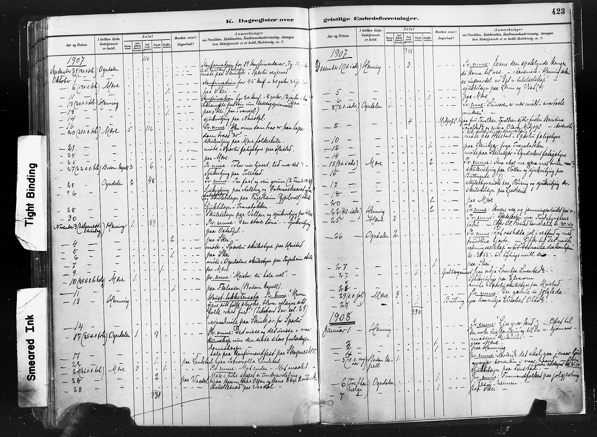 Ministerialprotokoller, klokkerbøker og fødselsregistre - Nord-Trøndelag, SAT/A-1458/735/L0351: Parish register (official) no. 735A10, 1884-1908, p. 423