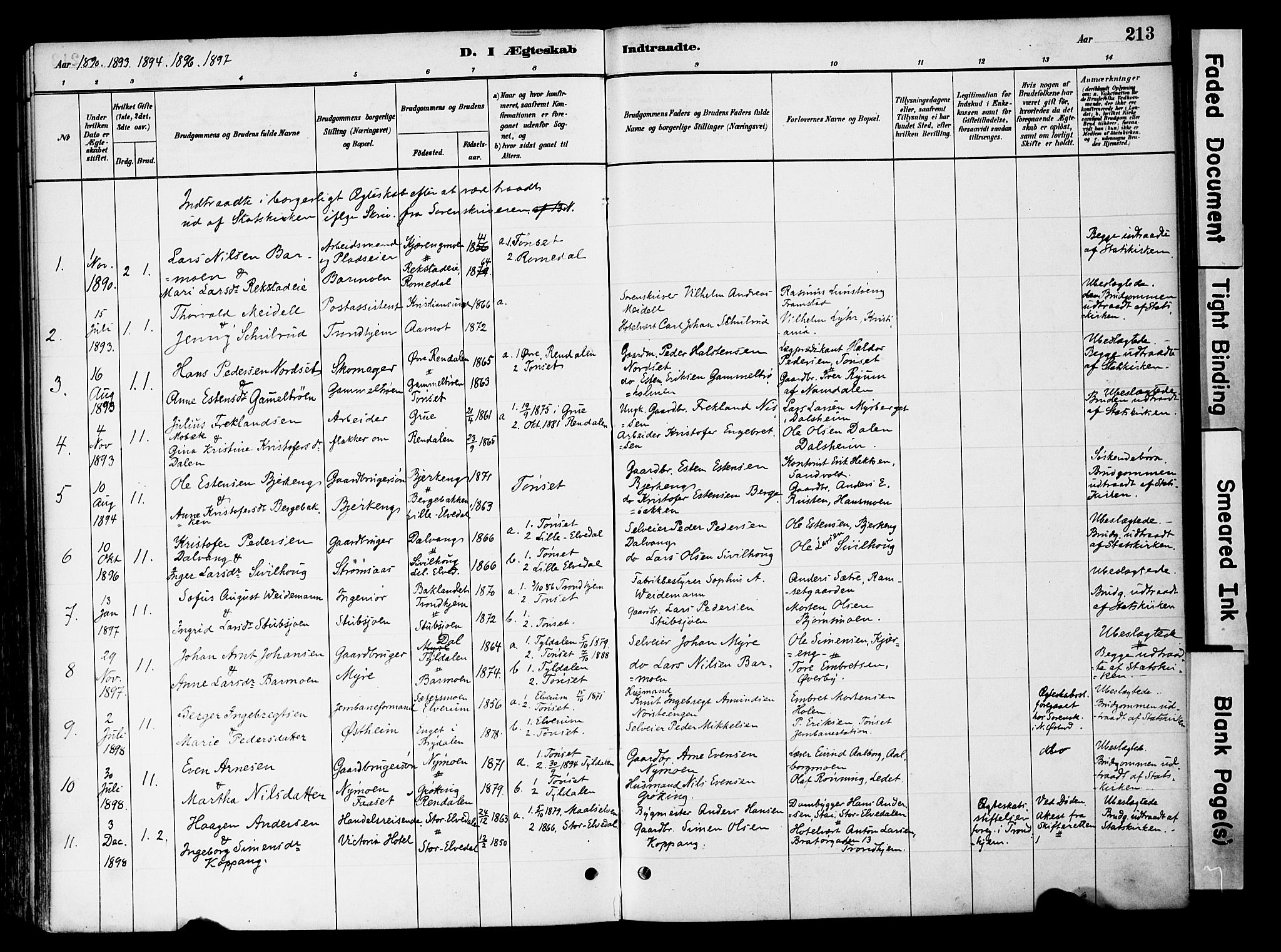 Tynset prestekontor, SAH/PREST-058/H/Ha/Haa/L0022: Parish register (official) no. 22, 1880-1899, p. 213