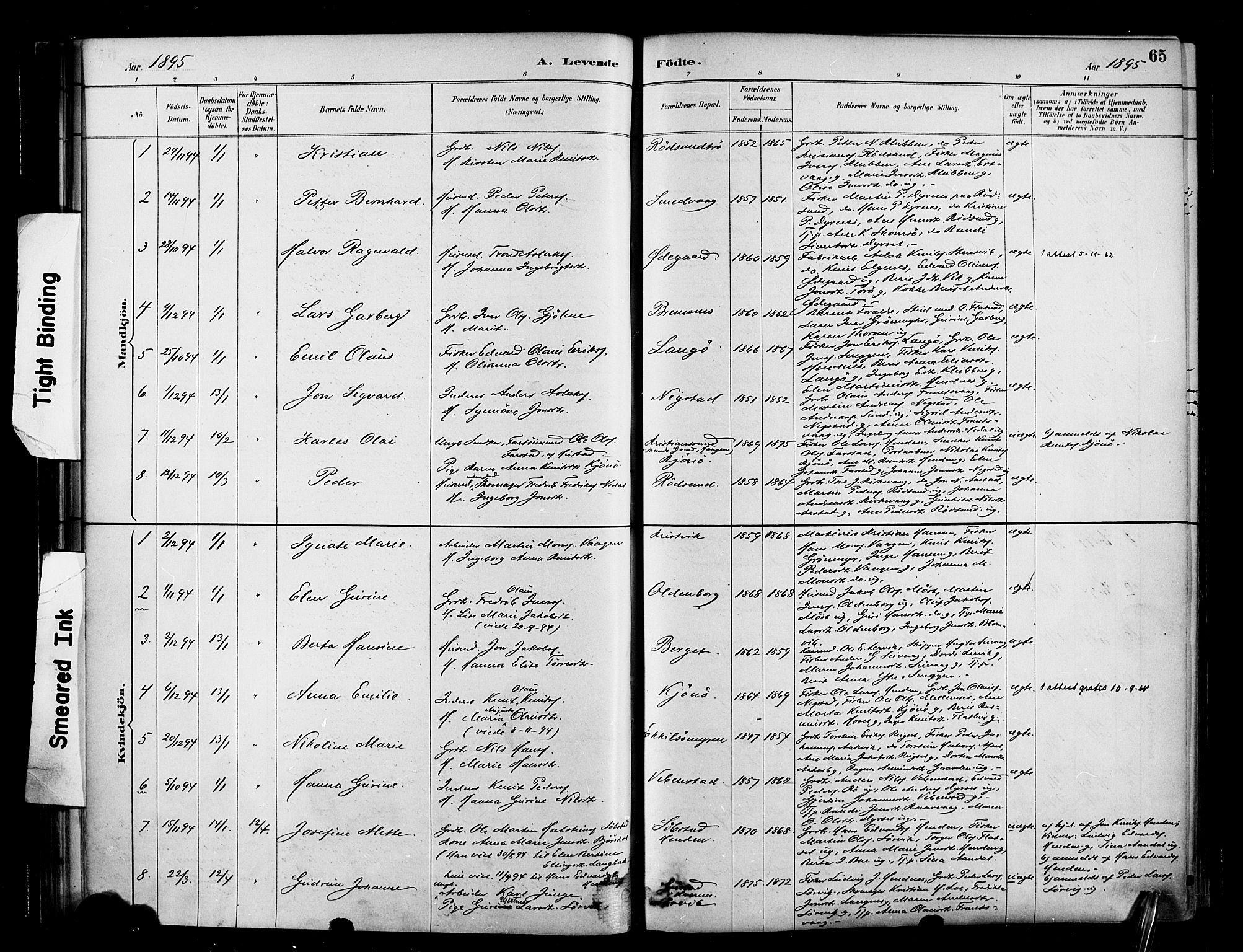 Ministerialprotokoller, klokkerbøker og fødselsregistre - Møre og Romsdal, SAT/A-1454/569/L0819: Parish register (official) no. 569A05, 1885-1899, p. 65