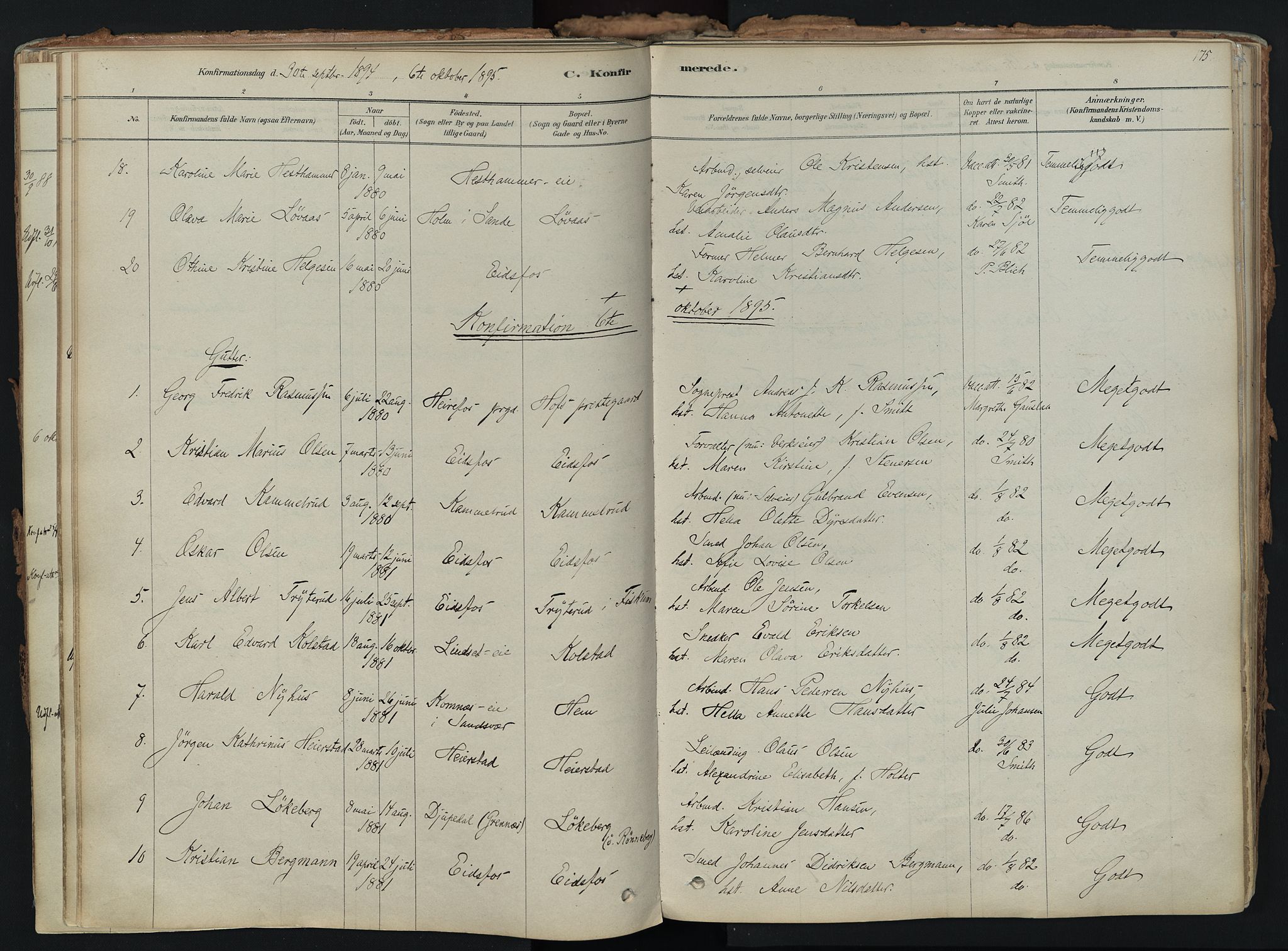 Hof kirkebøker, AV/SAKO-A-64/F/Fa/L0007: Parish register (official) no. I 7, 1878-1940, p. 175