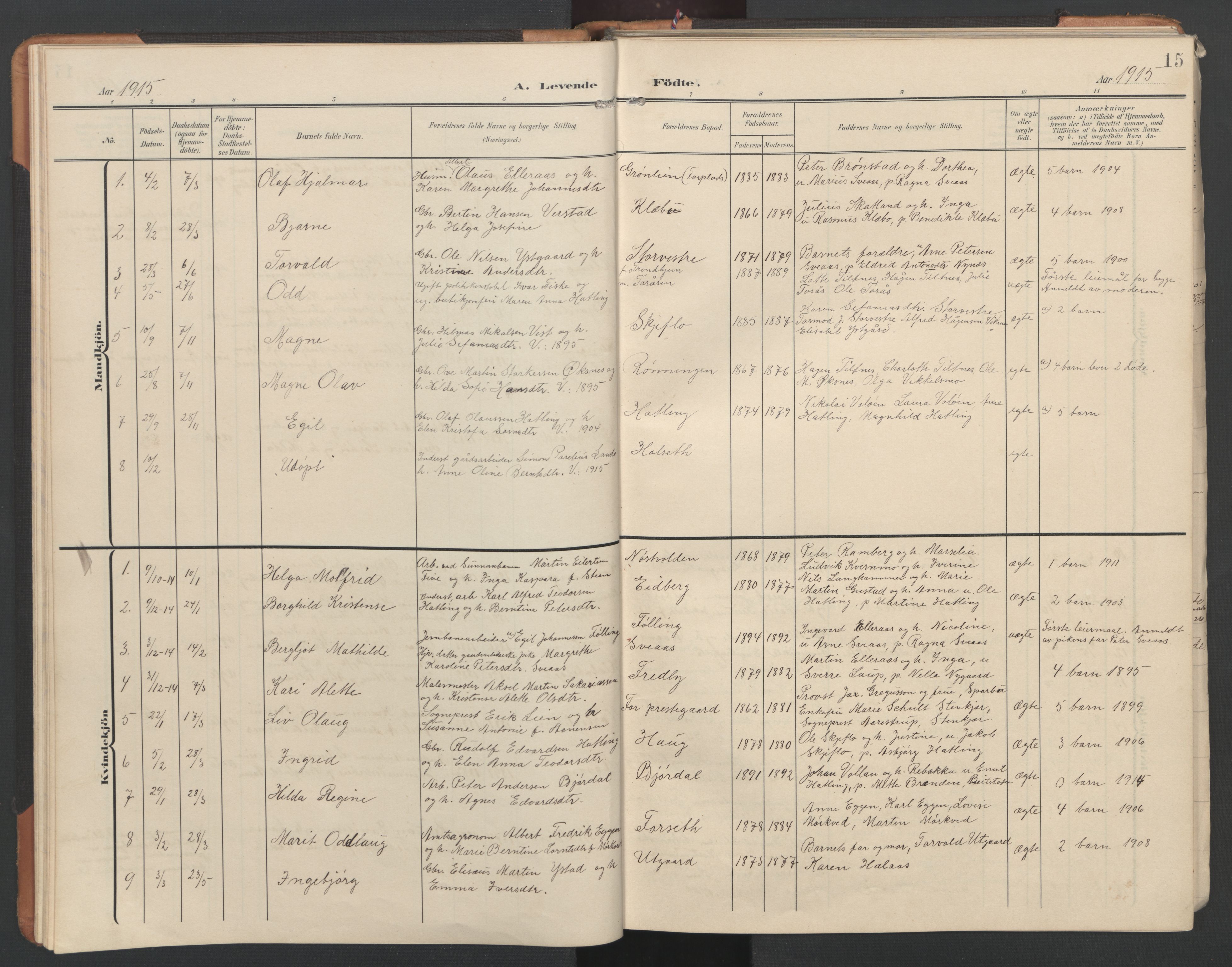 Ministerialprotokoller, klokkerbøker og fødselsregistre - Nord-Trøndelag, SAT/A-1458/746/L0455: Parish register (copy) no. 746C01, 1908-1933, p. 15