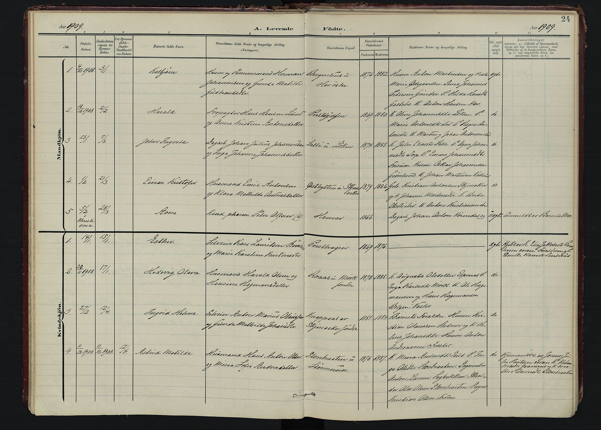 Spydeberg prestekontor Kirkebøker, AV/SAO-A-10924/F/Fa/L0009: Parish register (official) no. I 9, 1900-1926, p. 24