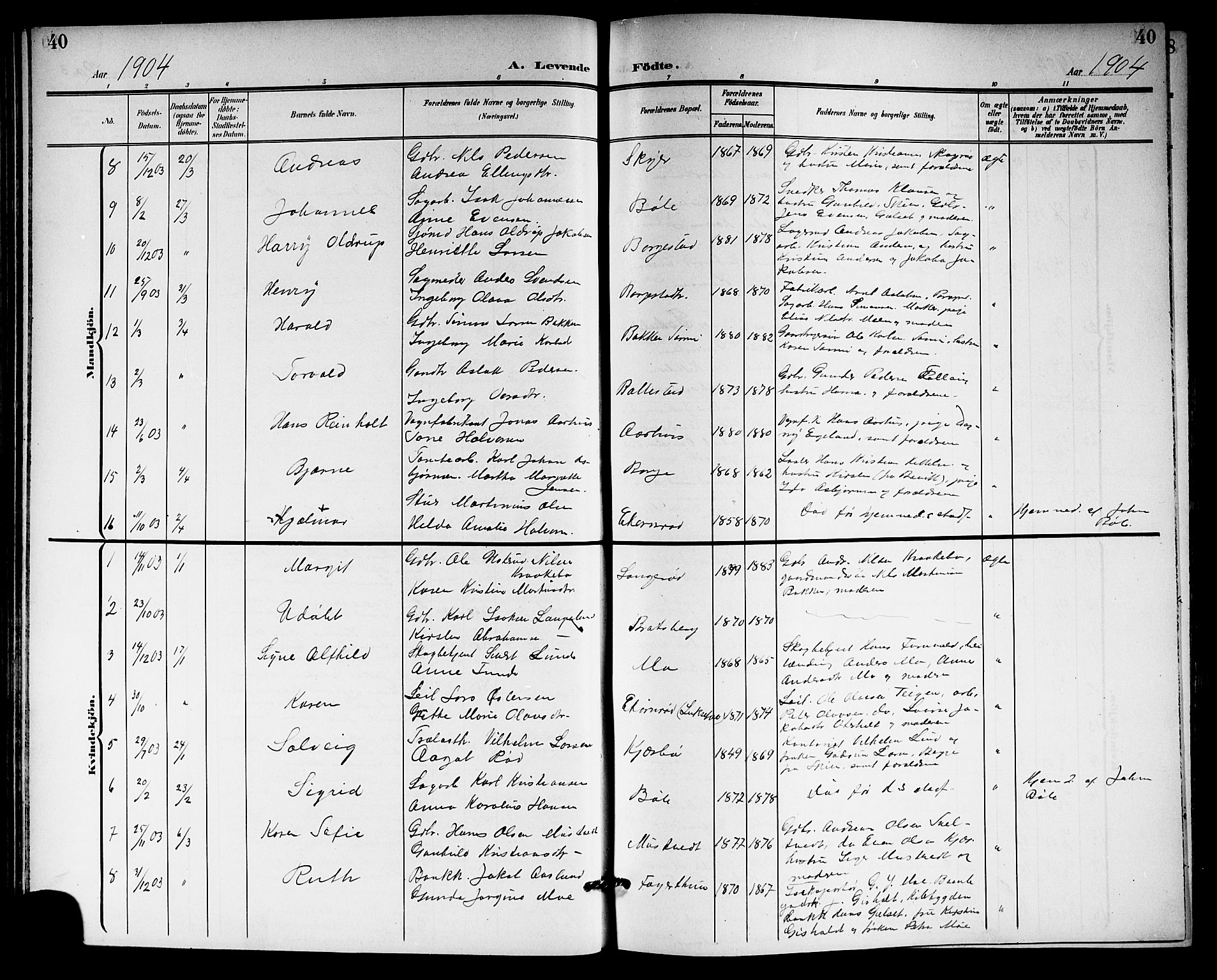Gjerpen kirkebøker, SAKO/A-265/G/Ga/L0003: Parish register (copy) no. I 3, 1901-1919, p. 40