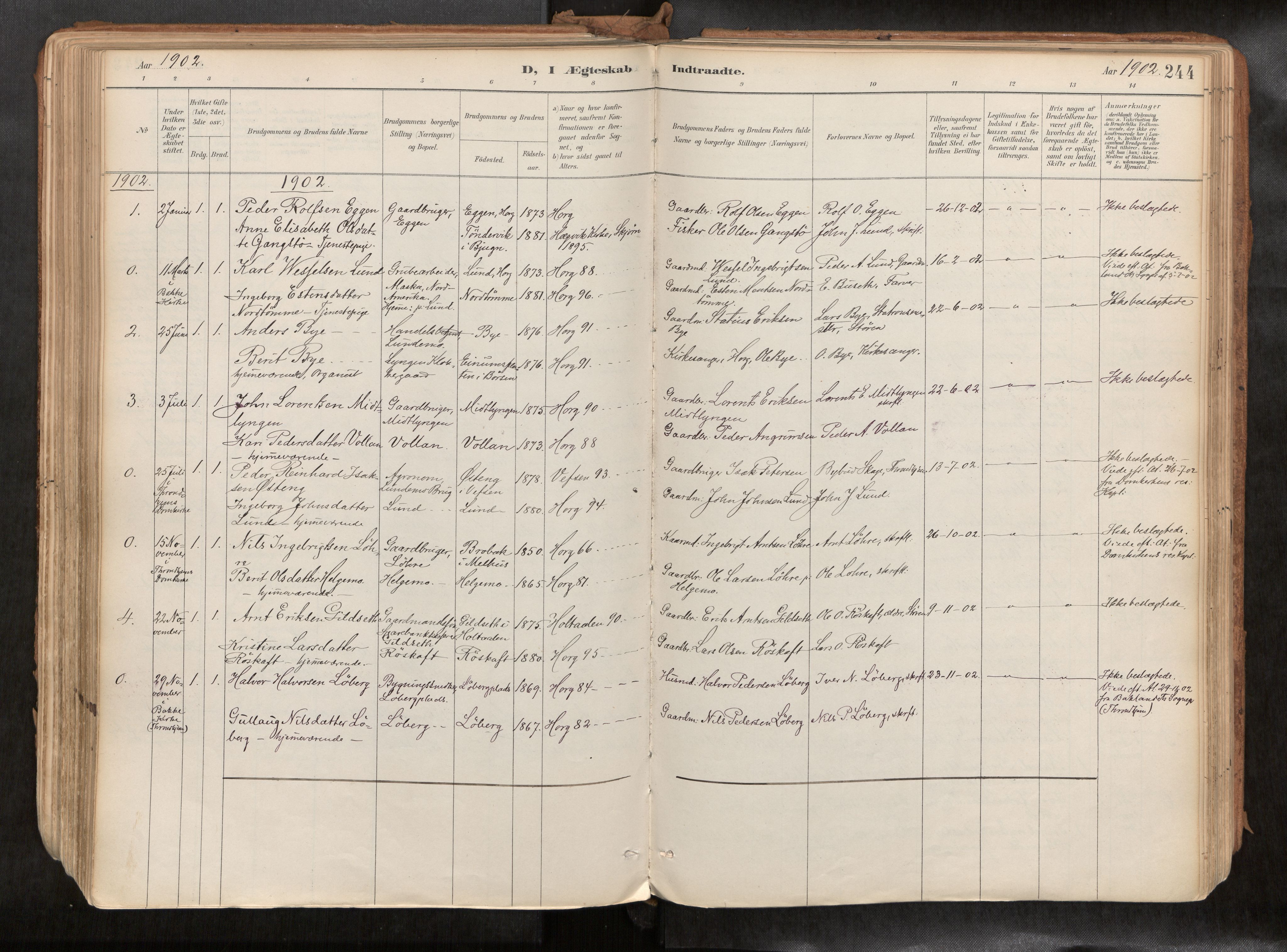 Ministerialprotokoller, klokkerbøker og fødselsregistre - Sør-Trøndelag, SAT/A-1456/692/L1105b: Parish register (official) no. 692A06, 1891-1934, p. 244