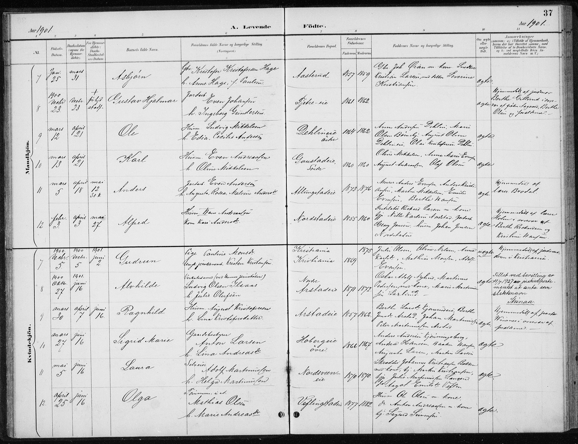 Stange prestekontor, AV/SAH-PREST-002/L/L0010: Parish register (copy) no. 10, 1894-1905, p. 37