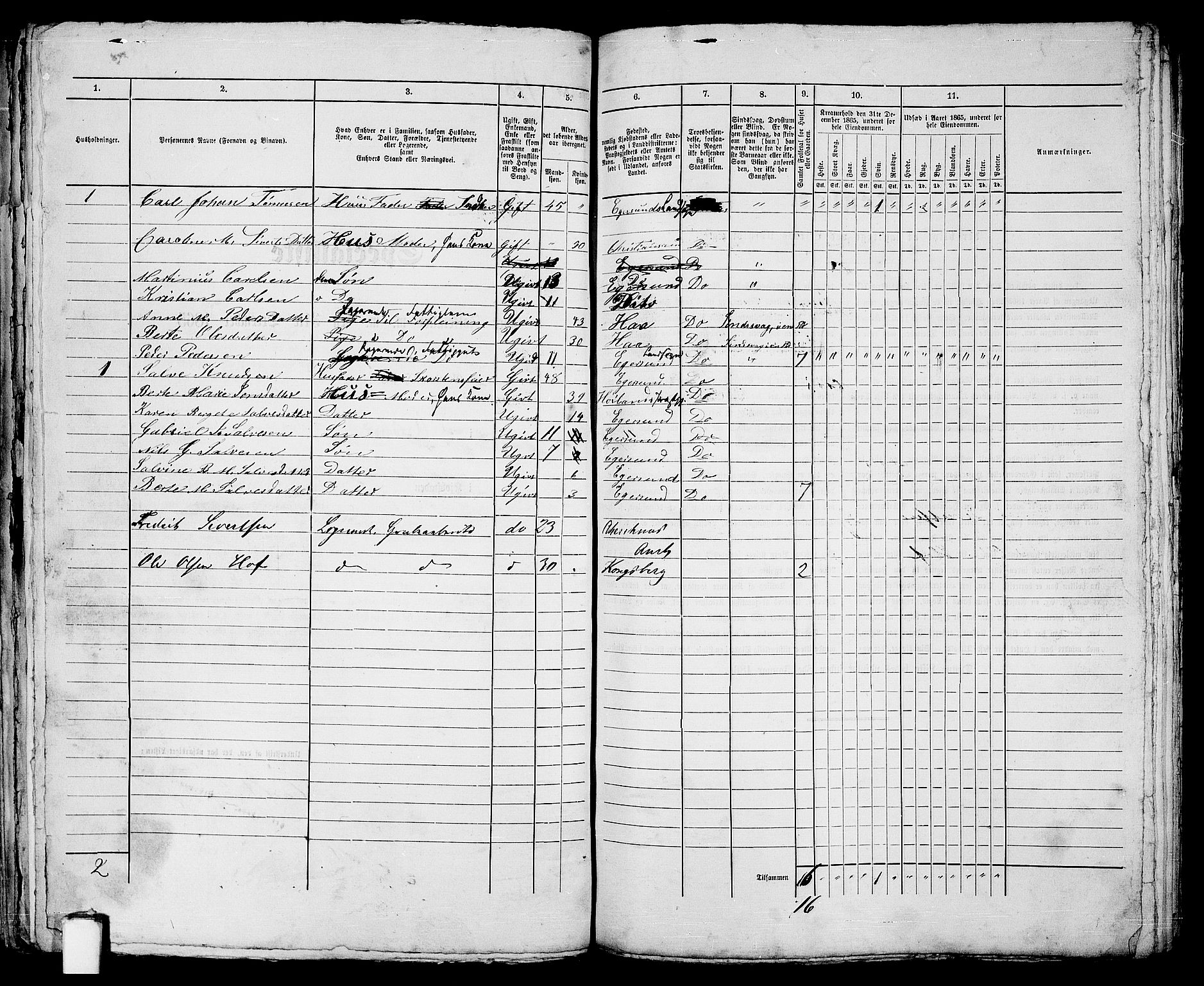 RA, 1865 census for Eigersund parish, Egersund town, 1865, p. 247