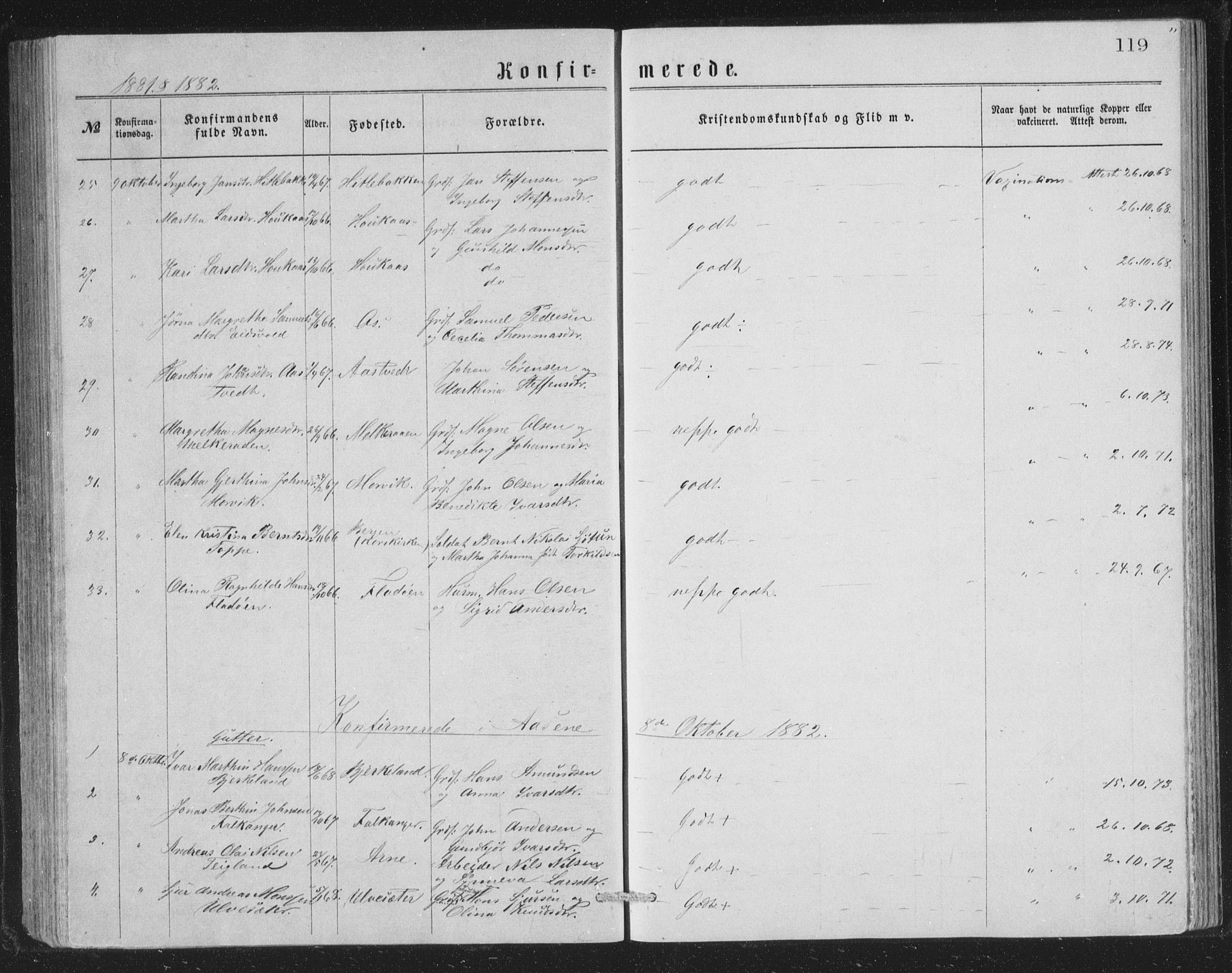 Åsane sokneprestembete, SAB/A-79401/H/Hab: Parish register (copy) no. A 1, 1870-1884, p. 119