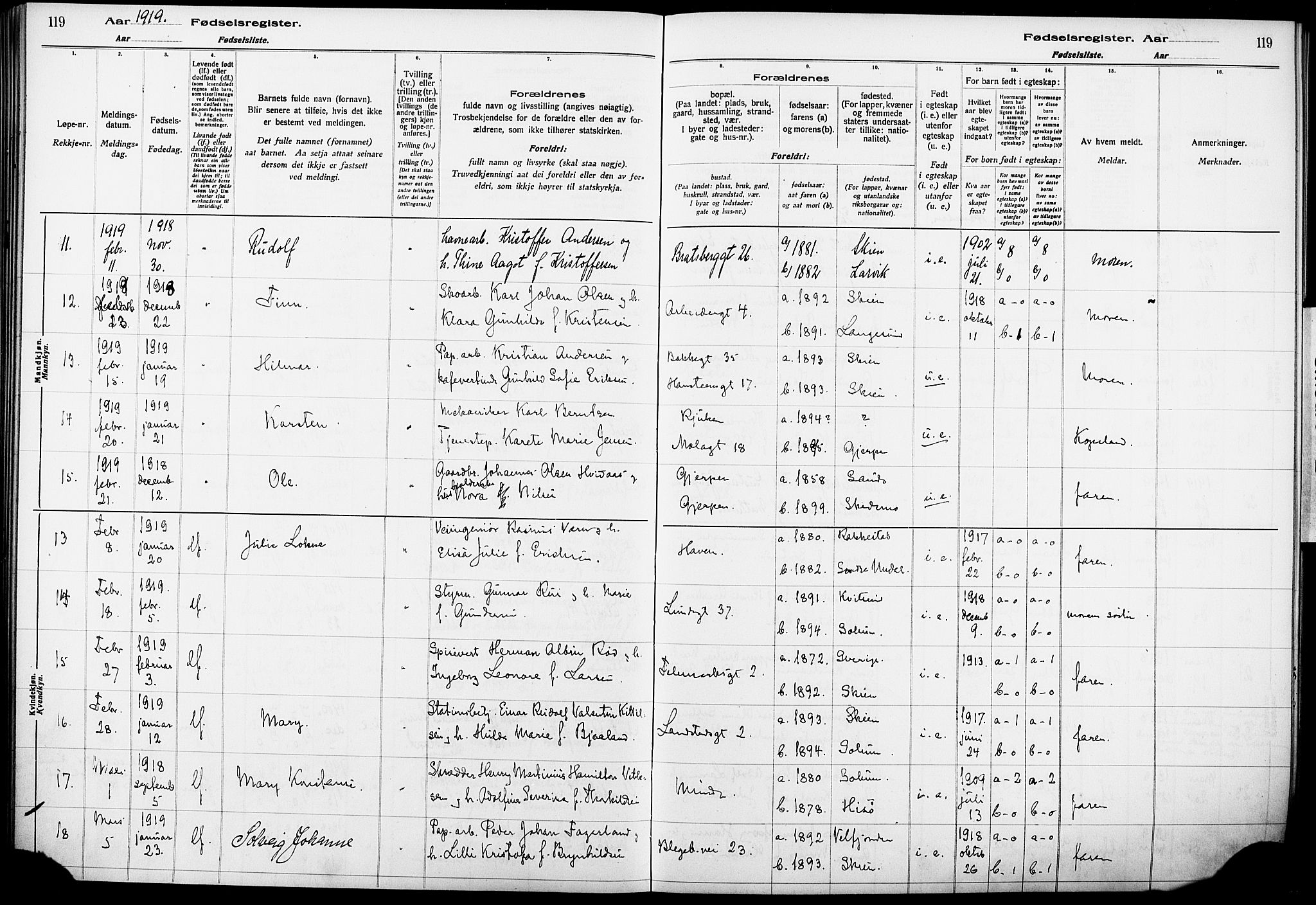 Skien kirkebøker, AV/SAKO-A-302/J/Ja/L0001: Birth register no. 1, 1916-1920, p. 119