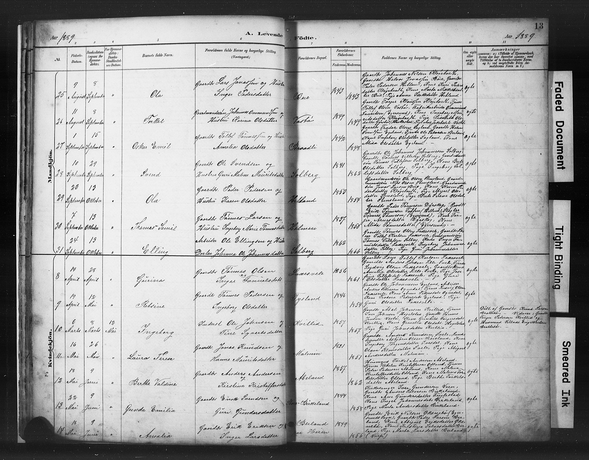 Helleland sokneprestkontor, AV/SAST-A-101810: Parish register (copy) no. B 5, 1887-1908, p. 13