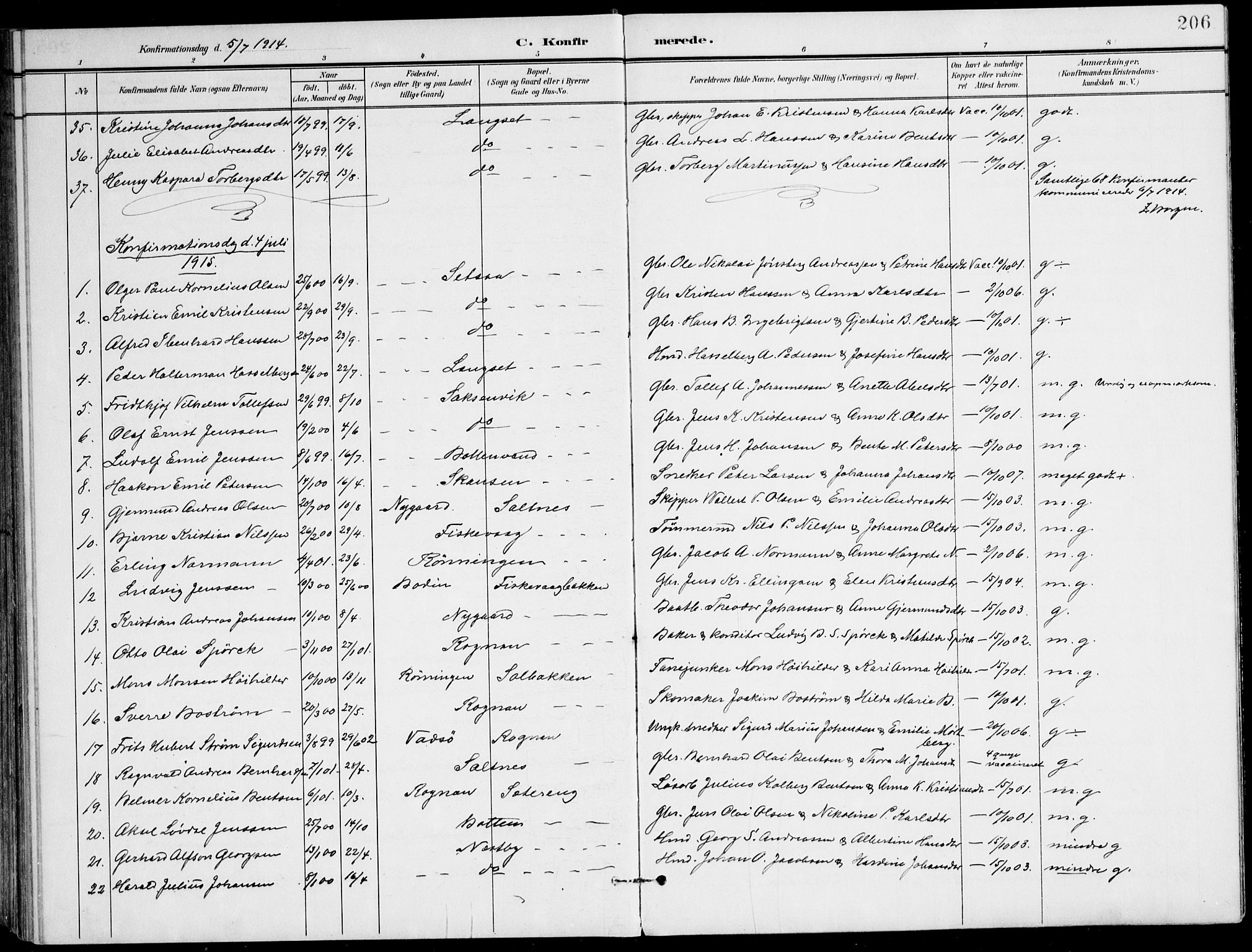 Ministerialprotokoller, klokkerbøker og fødselsregistre - Nordland, AV/SAT-A-1459/847/L0672: Parish register (official) no. 847A12, 1902-1919, p. 206