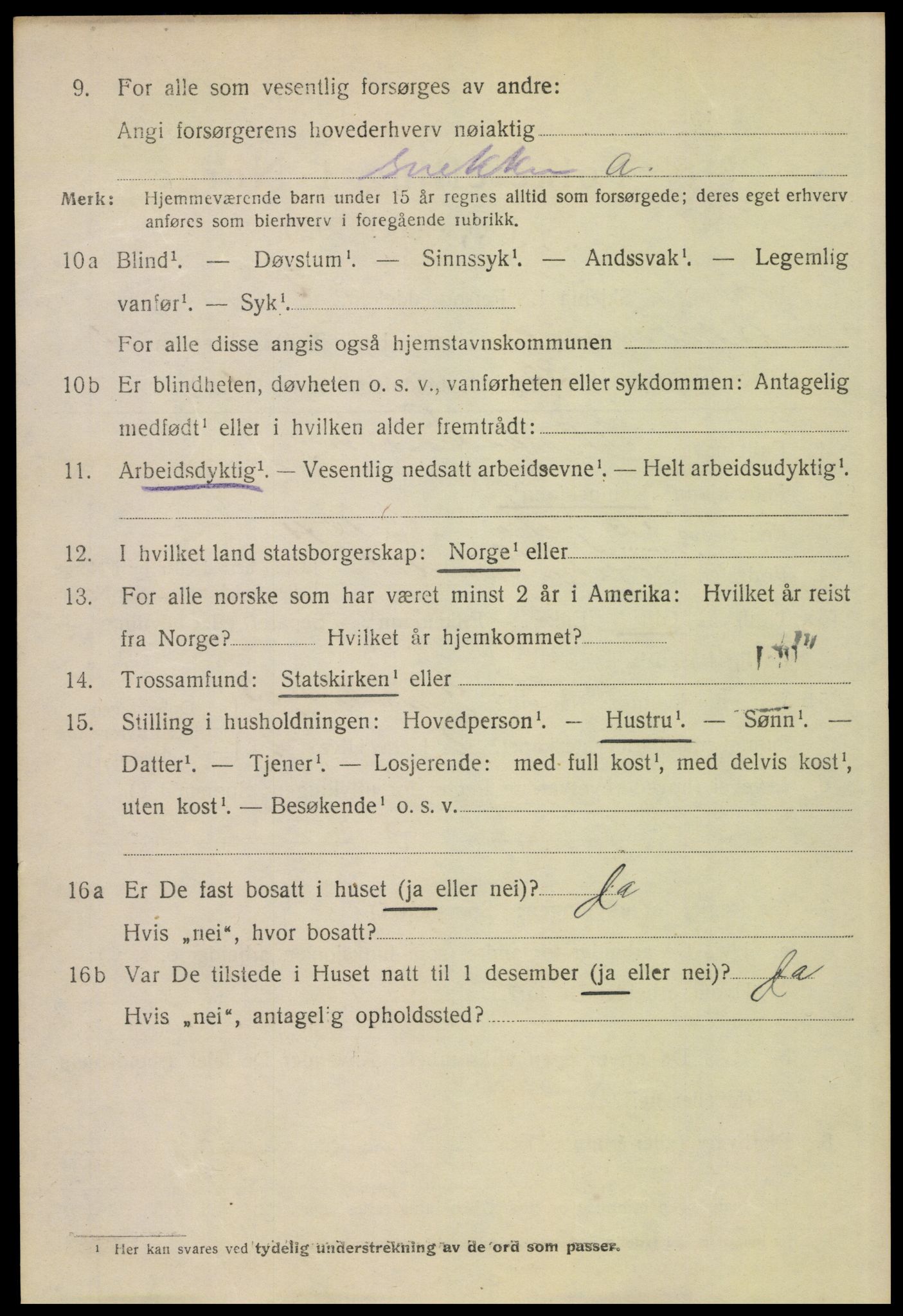 SAH, 1920 census for Lillehammer, 1920, p. 4219