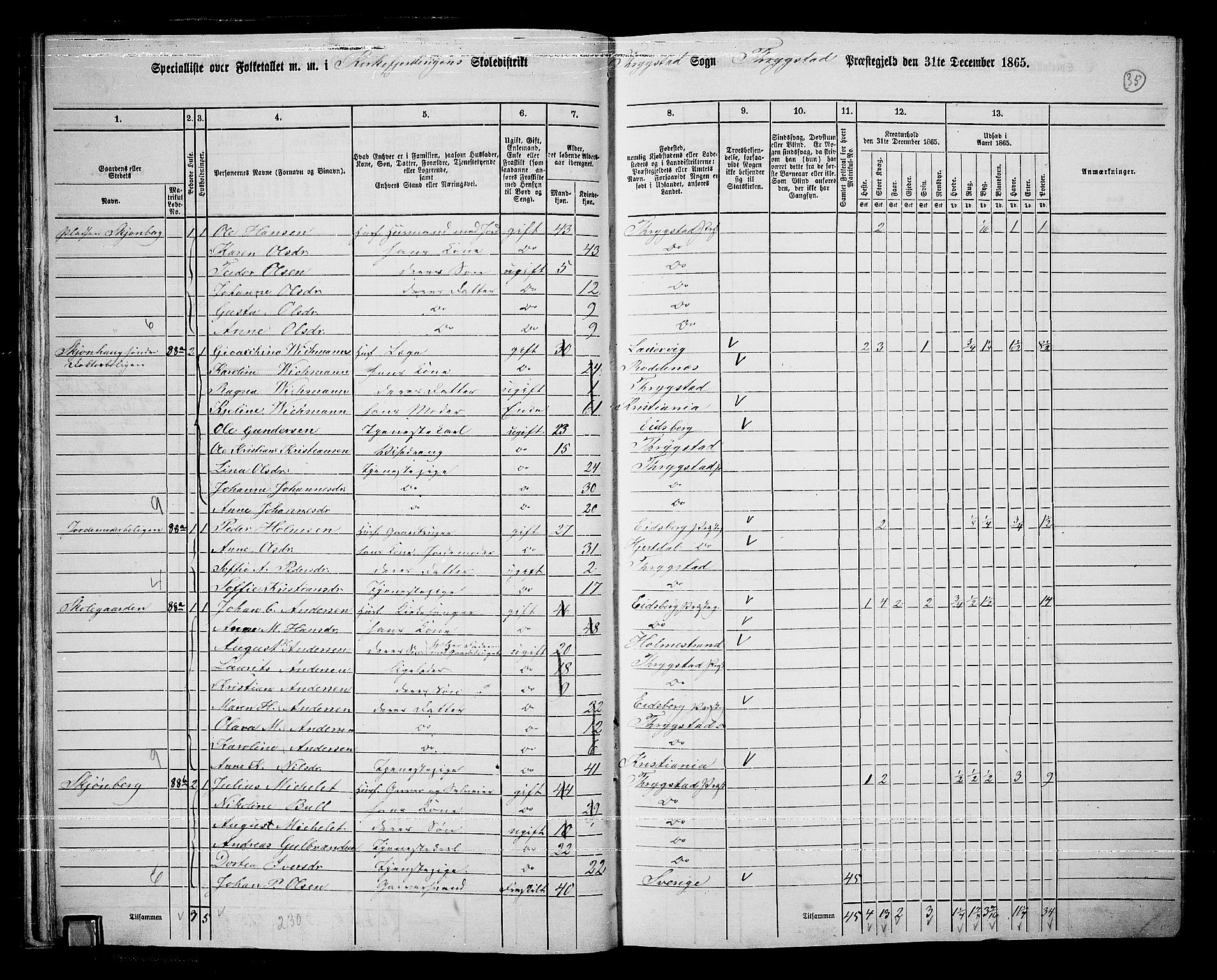 RA, 1865 census for Trøgstad, 1865, p. 34